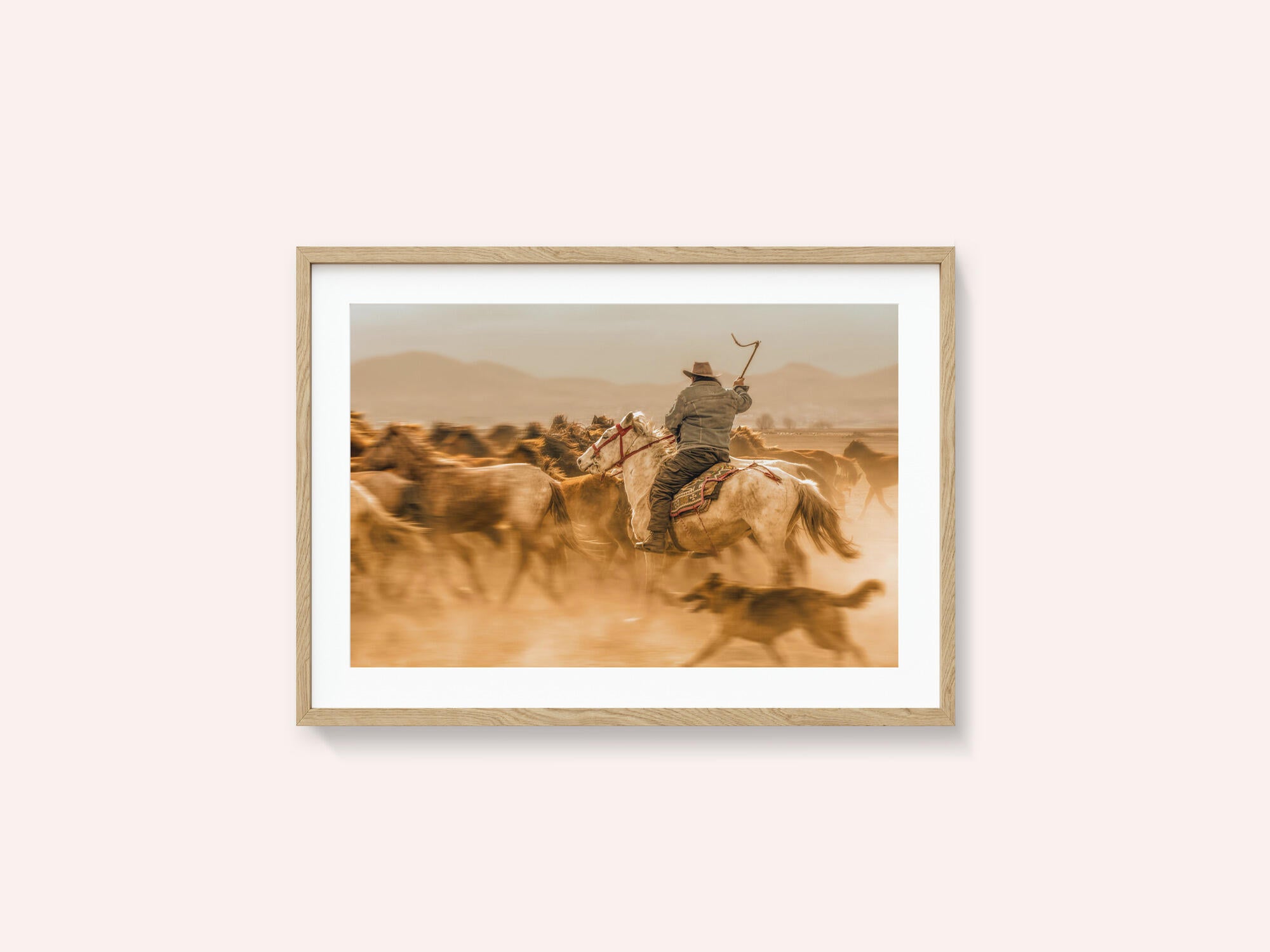 Wild horses (aka Yılkı Atları)