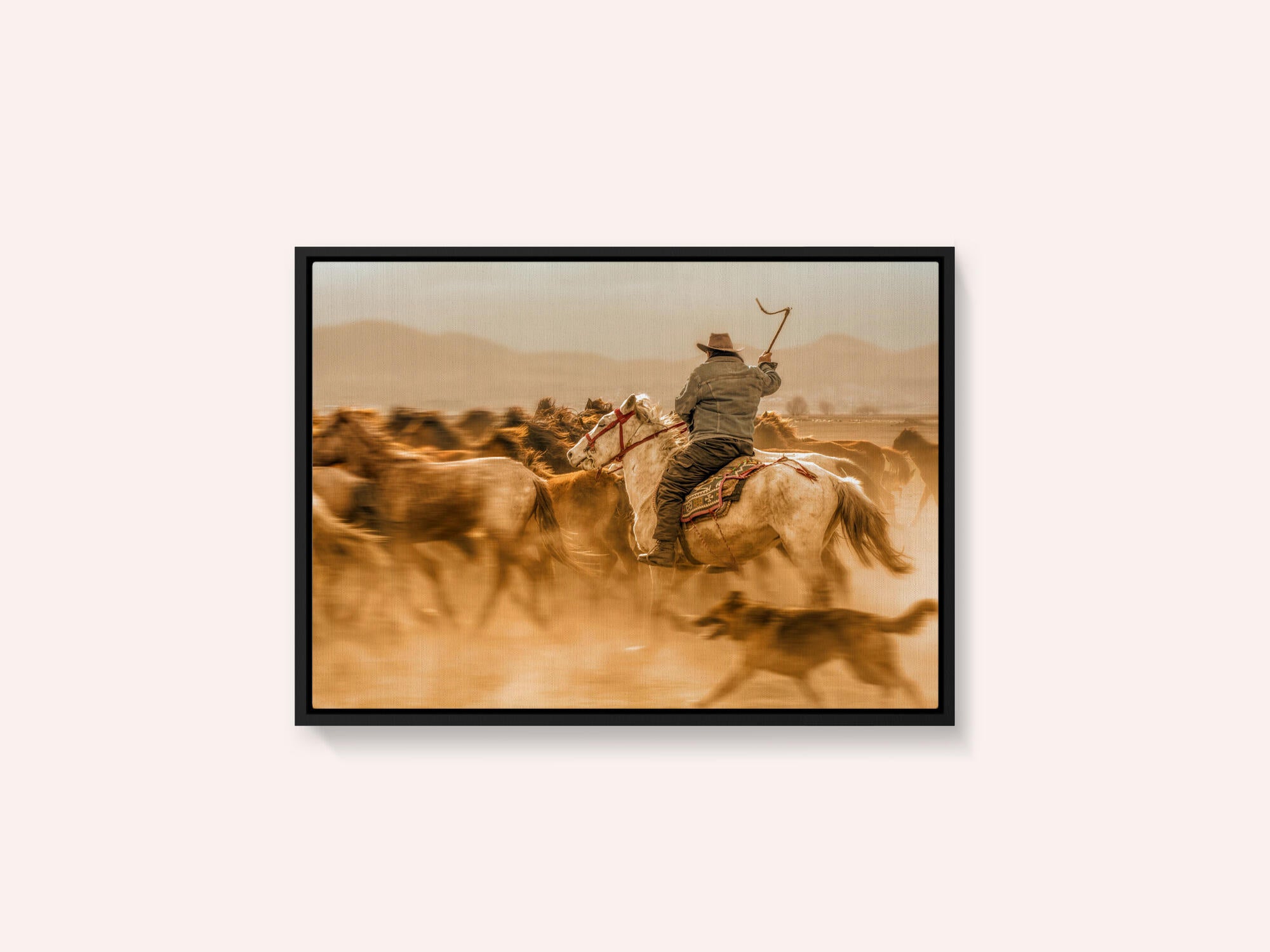 Wild horses (aka Yılkı Atları)