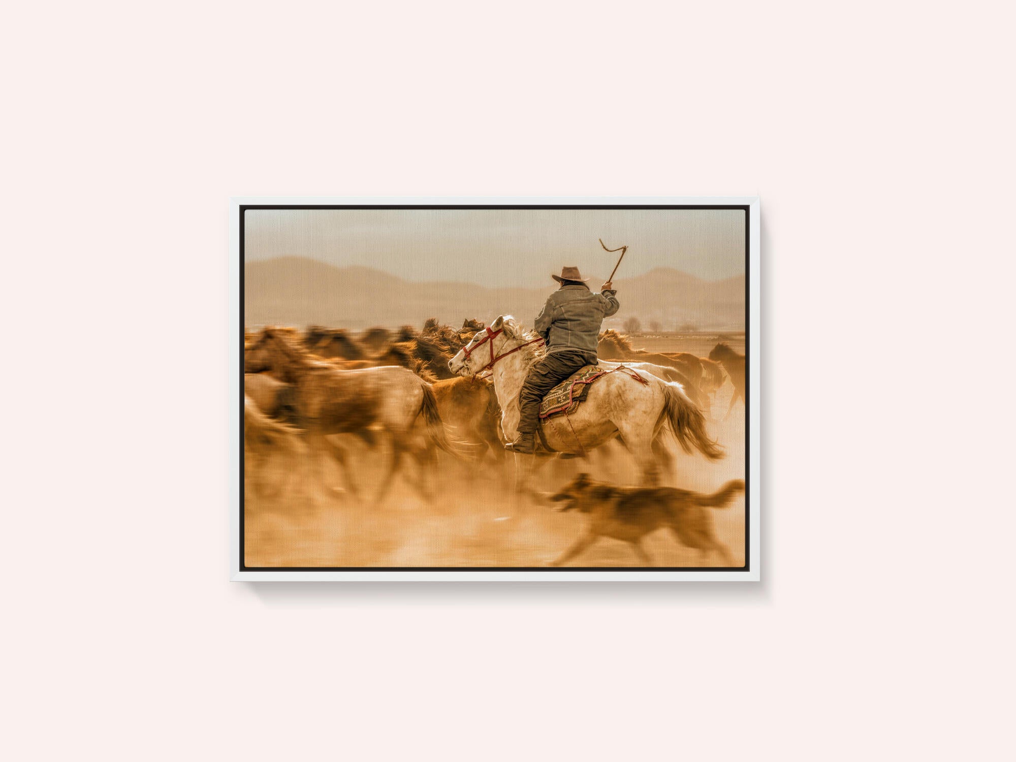 Wild horses (aka Yılkı Atları)