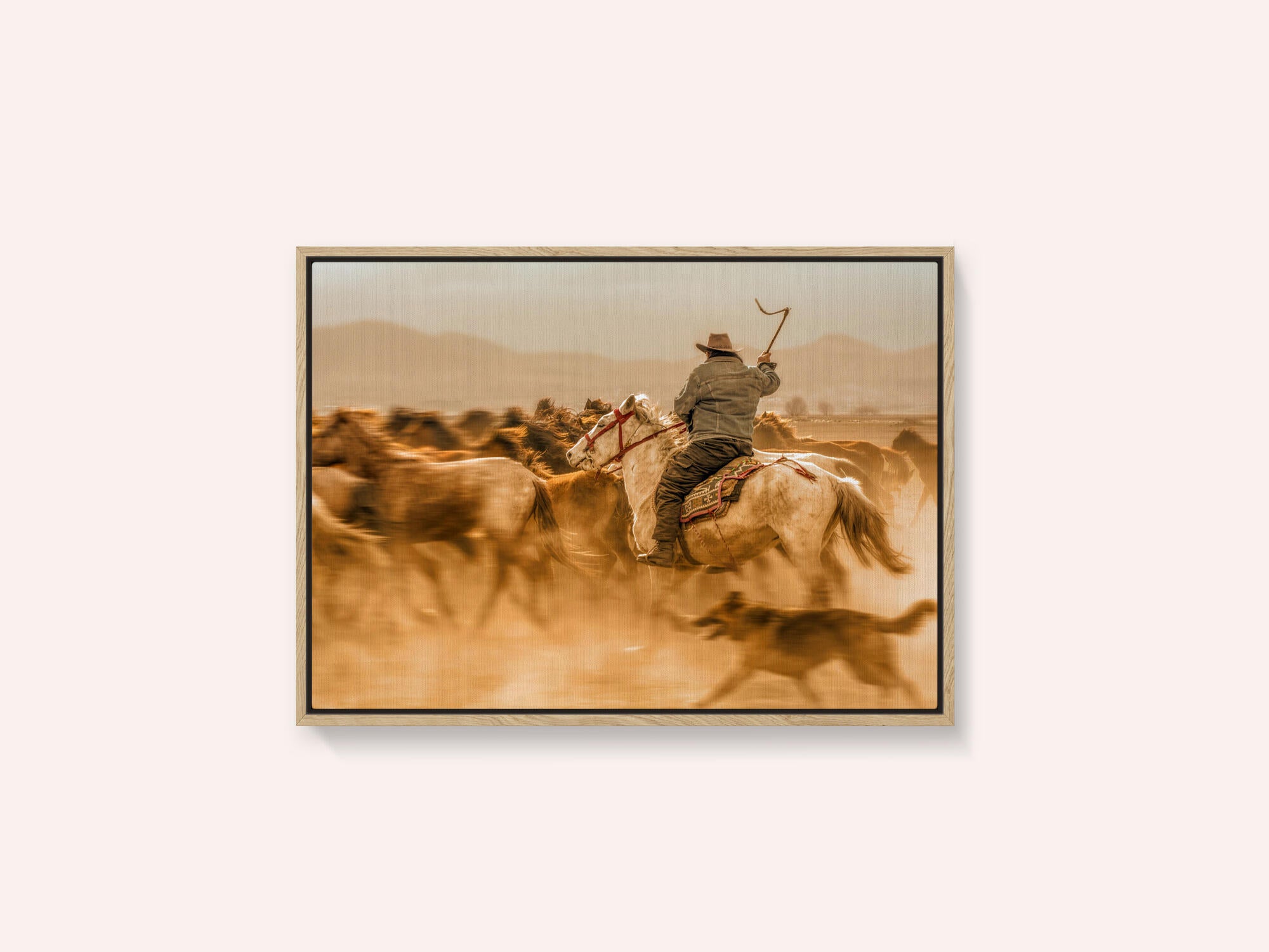 Wild horses (aka Yılkı Atları)