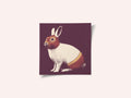 Lapin Catcheur