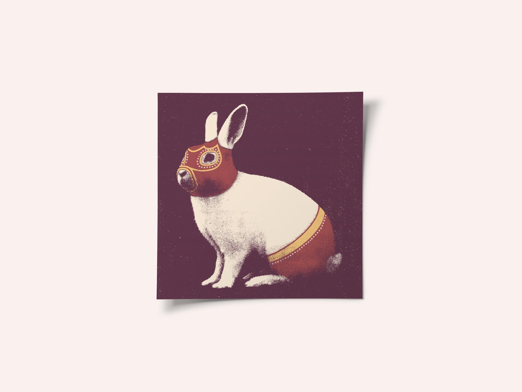 Lapin Catcheur