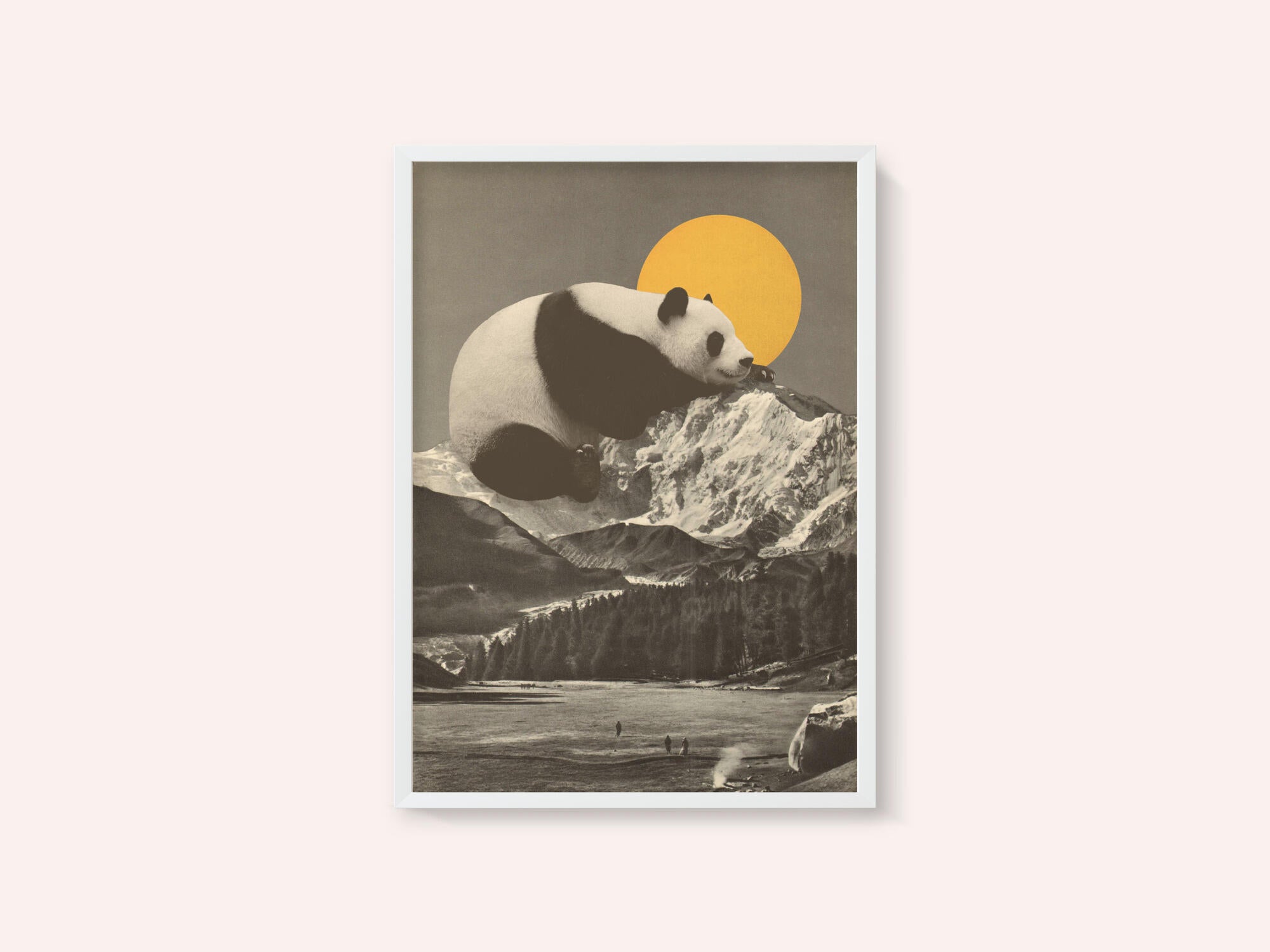 Giant Panda Nap