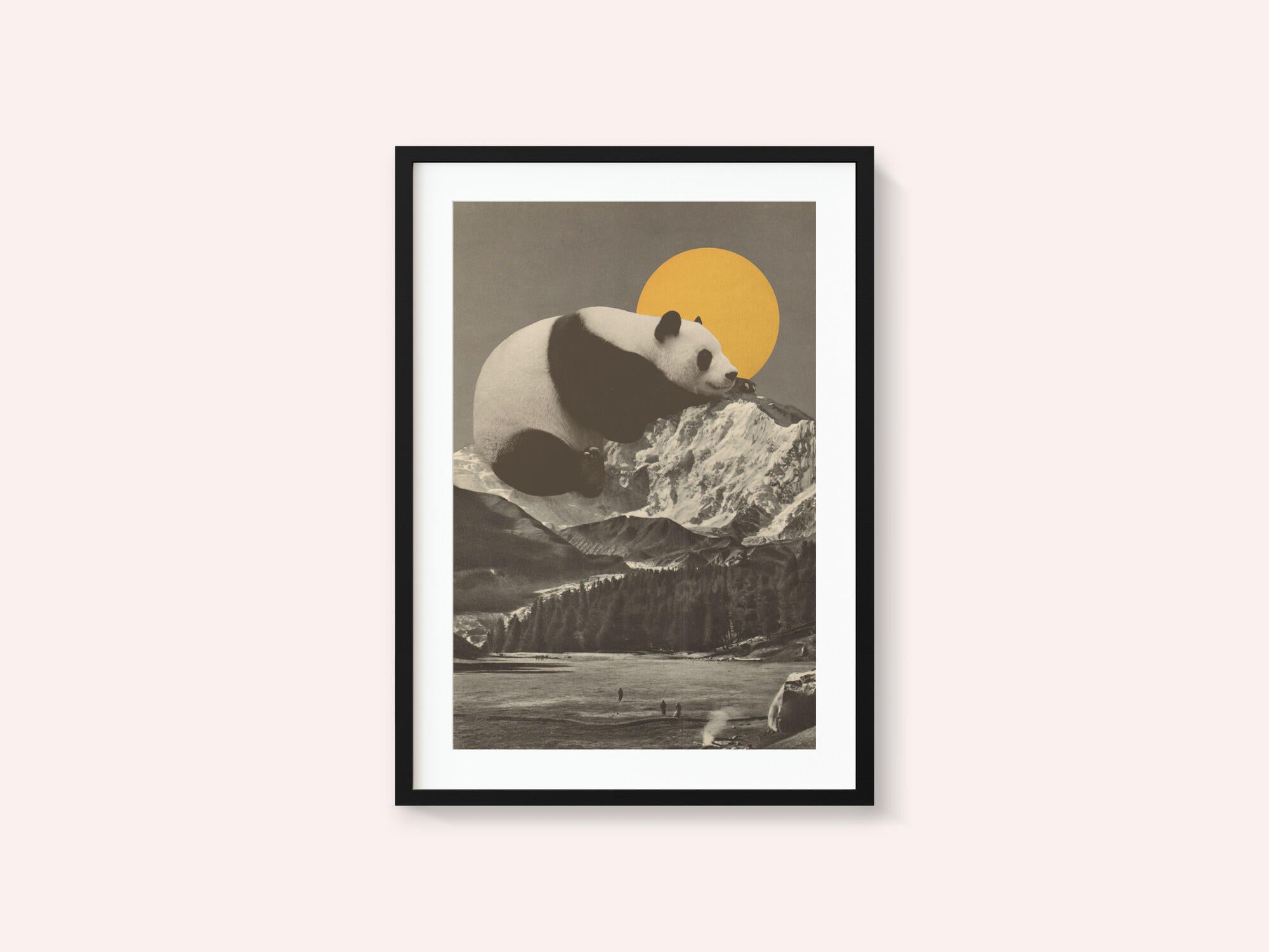 Giant Panda Nap