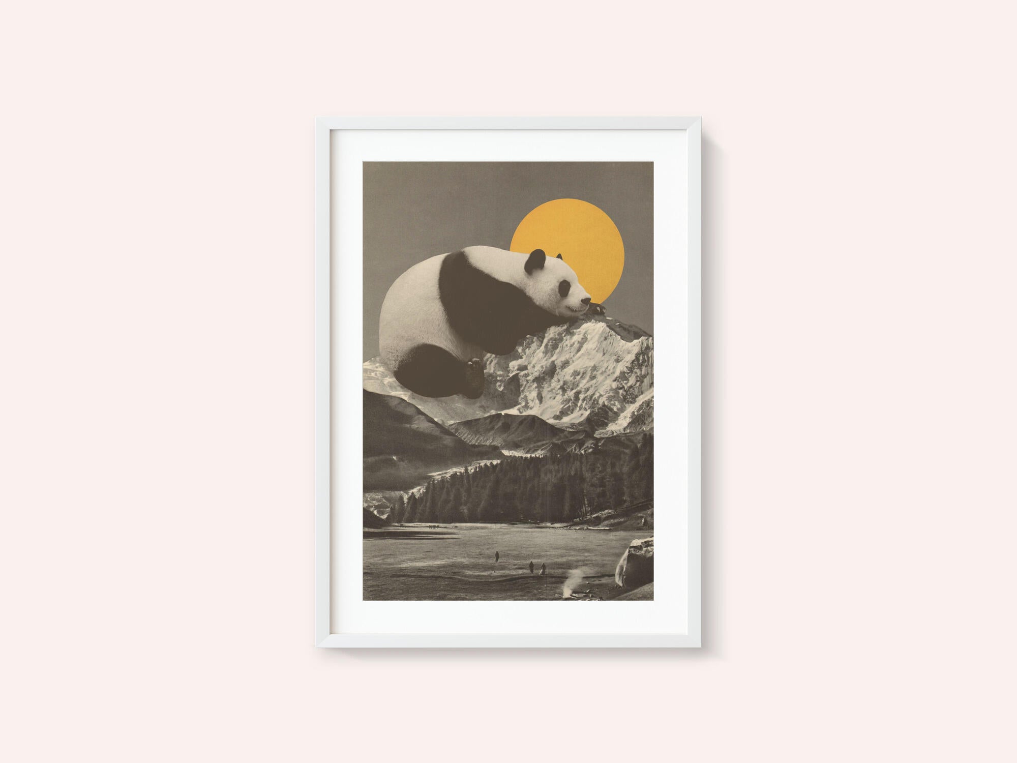 Giant Panda Nap