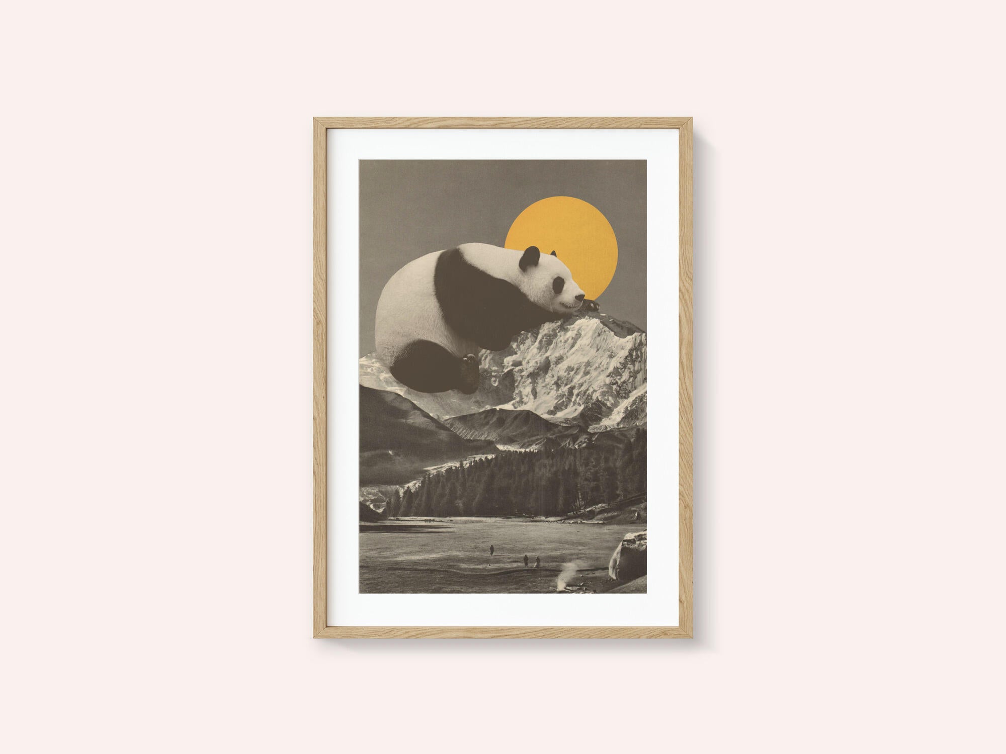 Giant Panda Nap