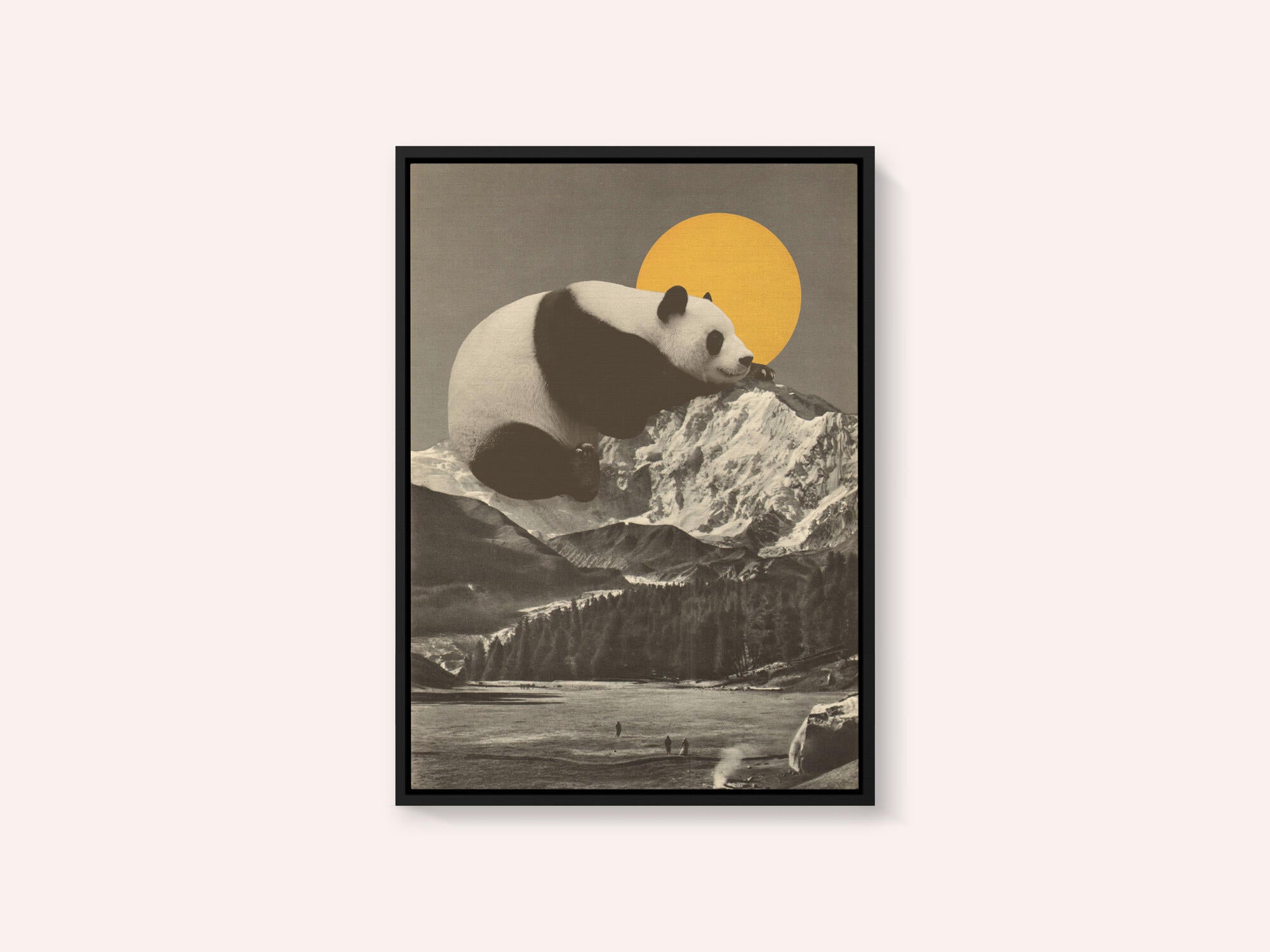 Giant Panda Nap