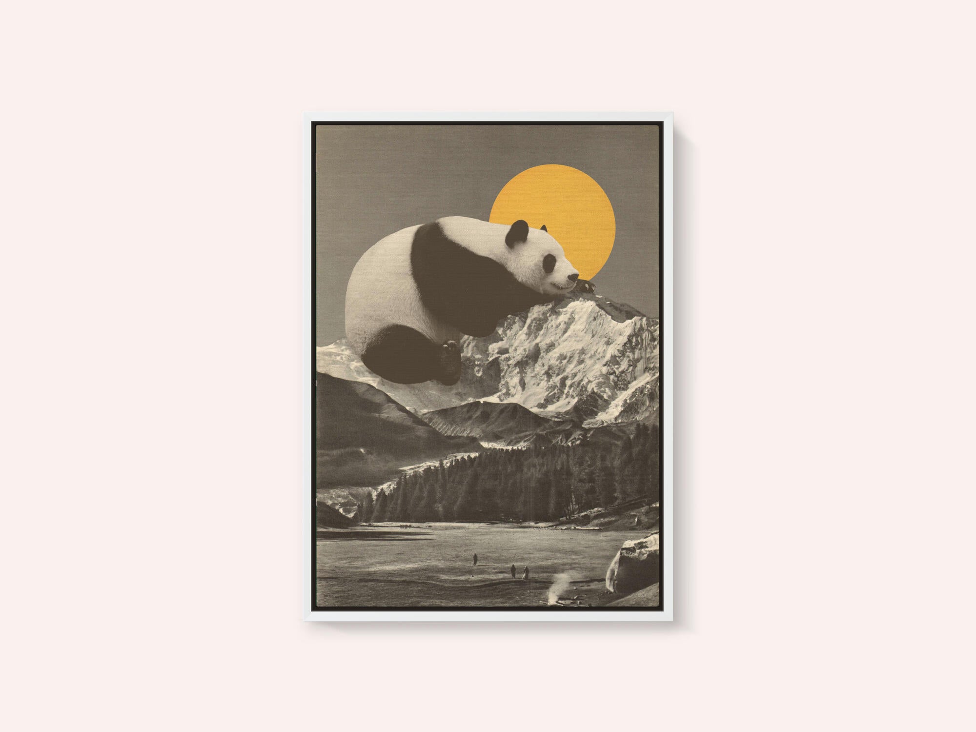 Giant Panda Nap