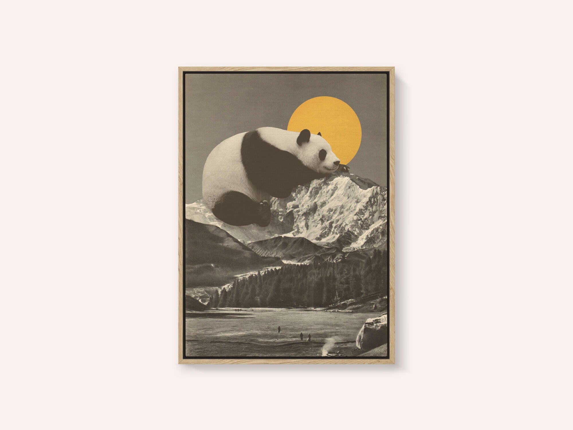 Giant Panda Nap
