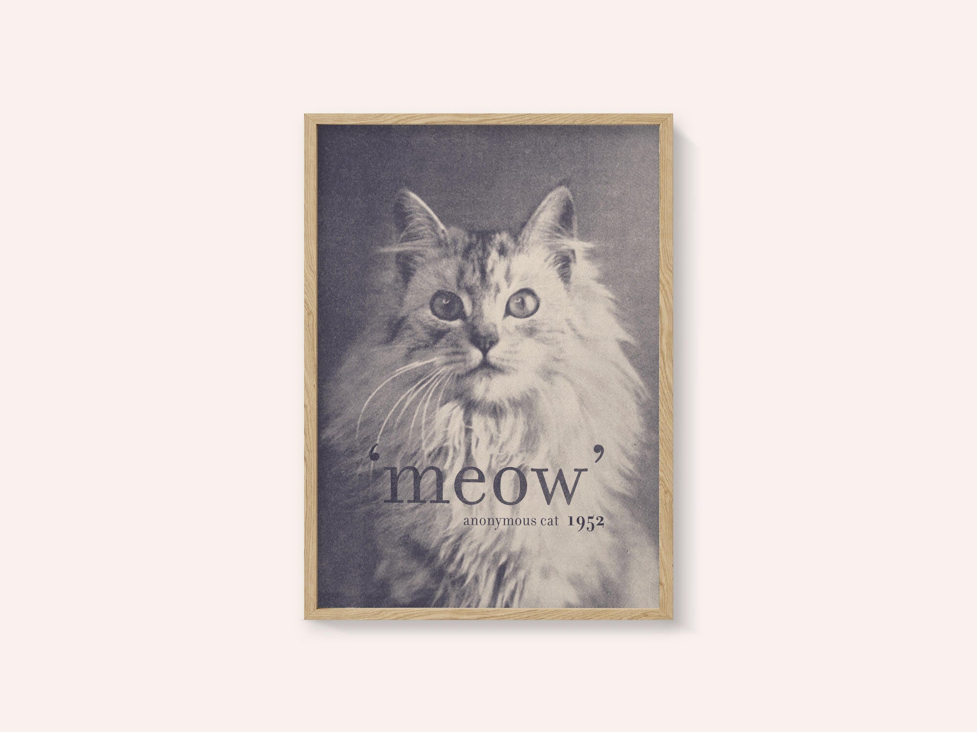 Famous Quote Cat