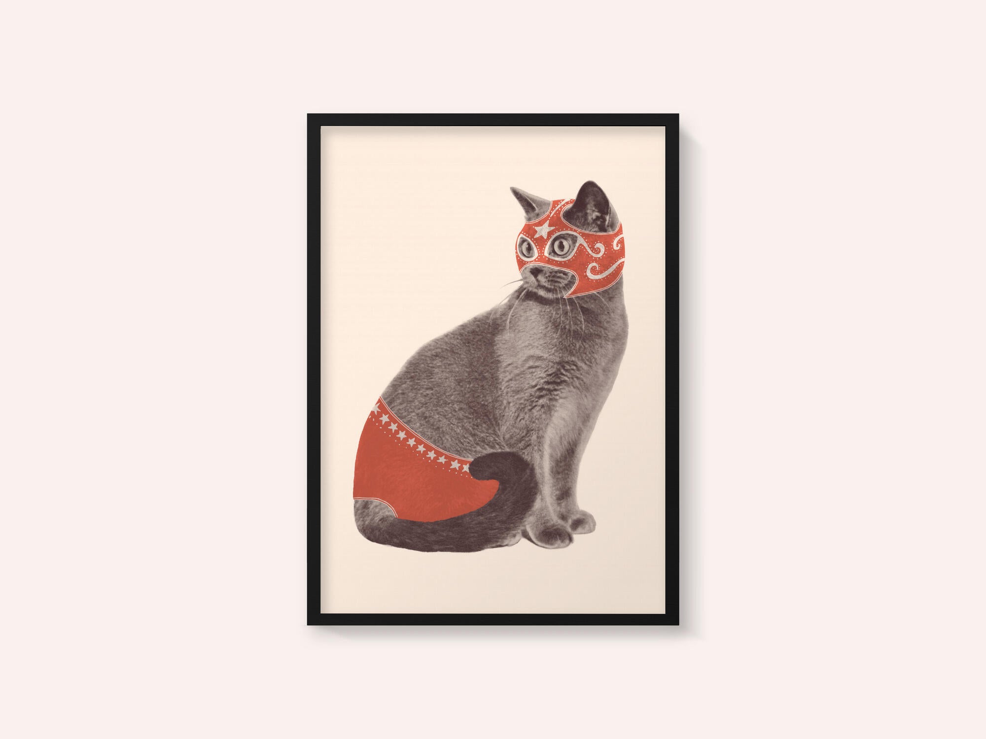Chat Catcheur