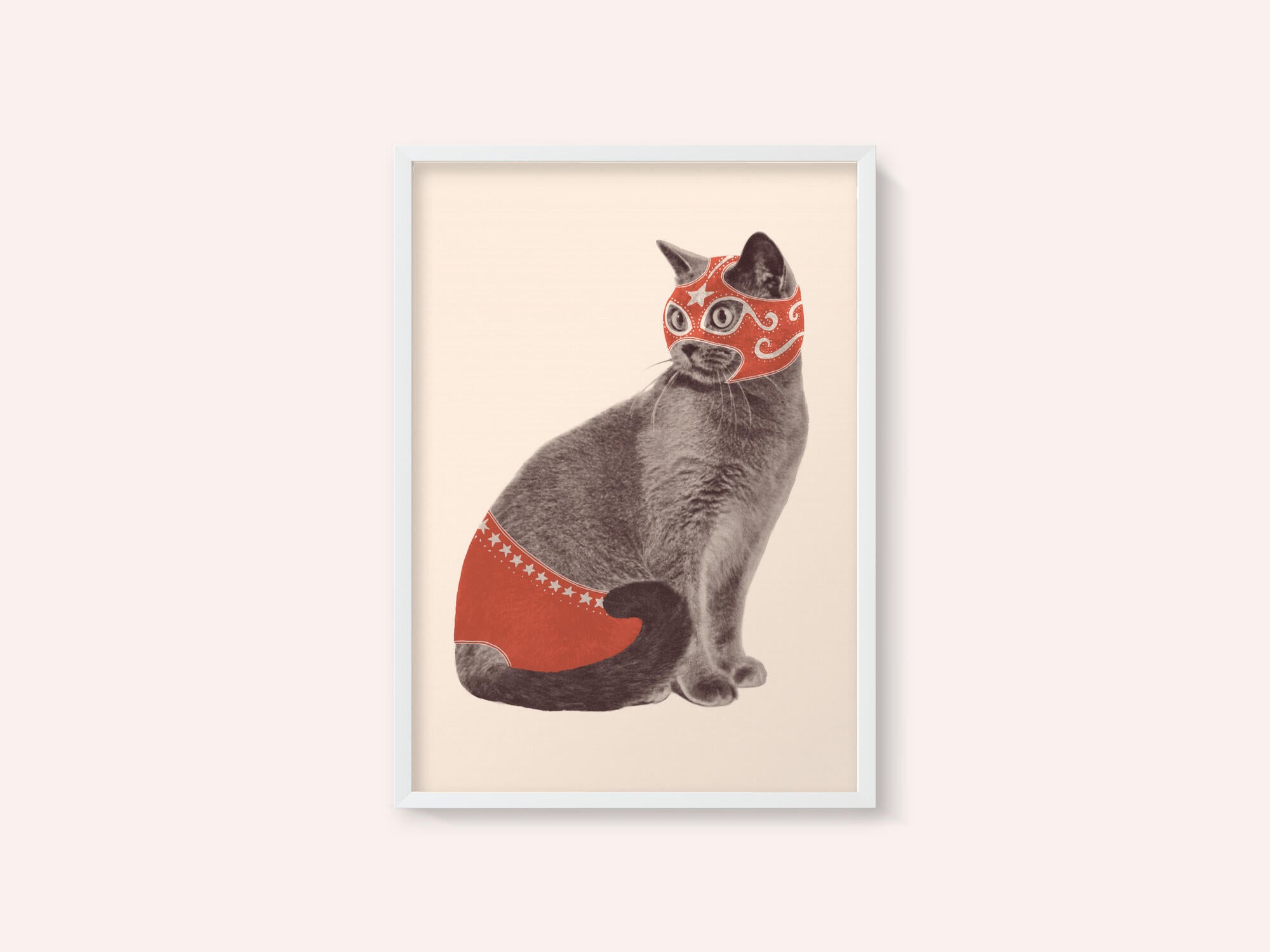 Chat Catcheur