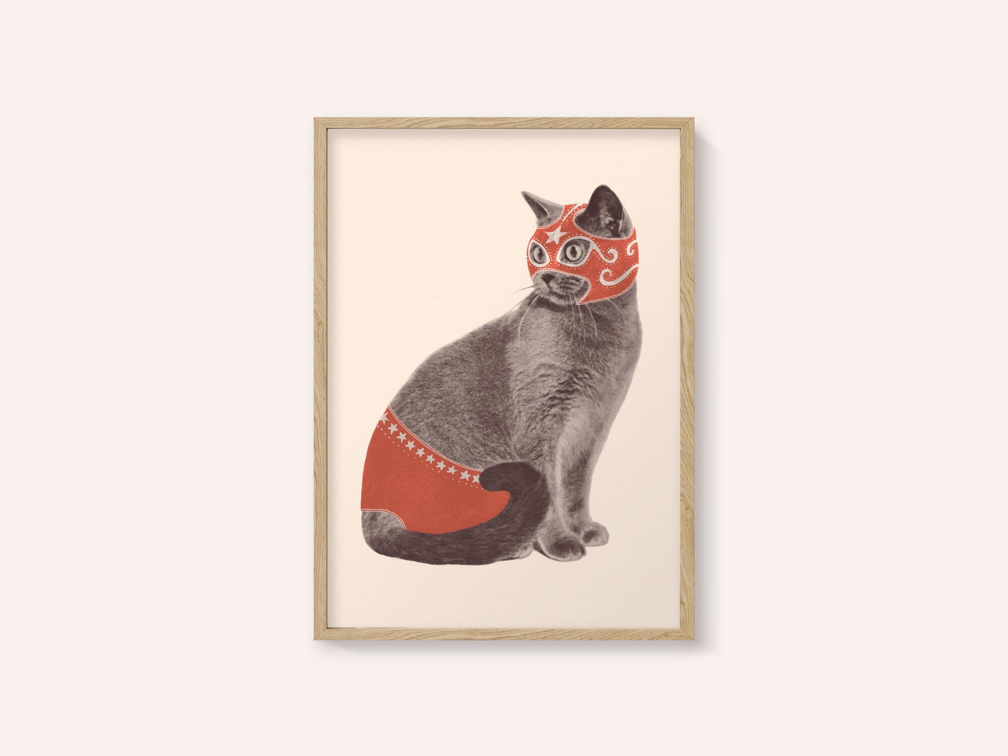 Chat Catcheur