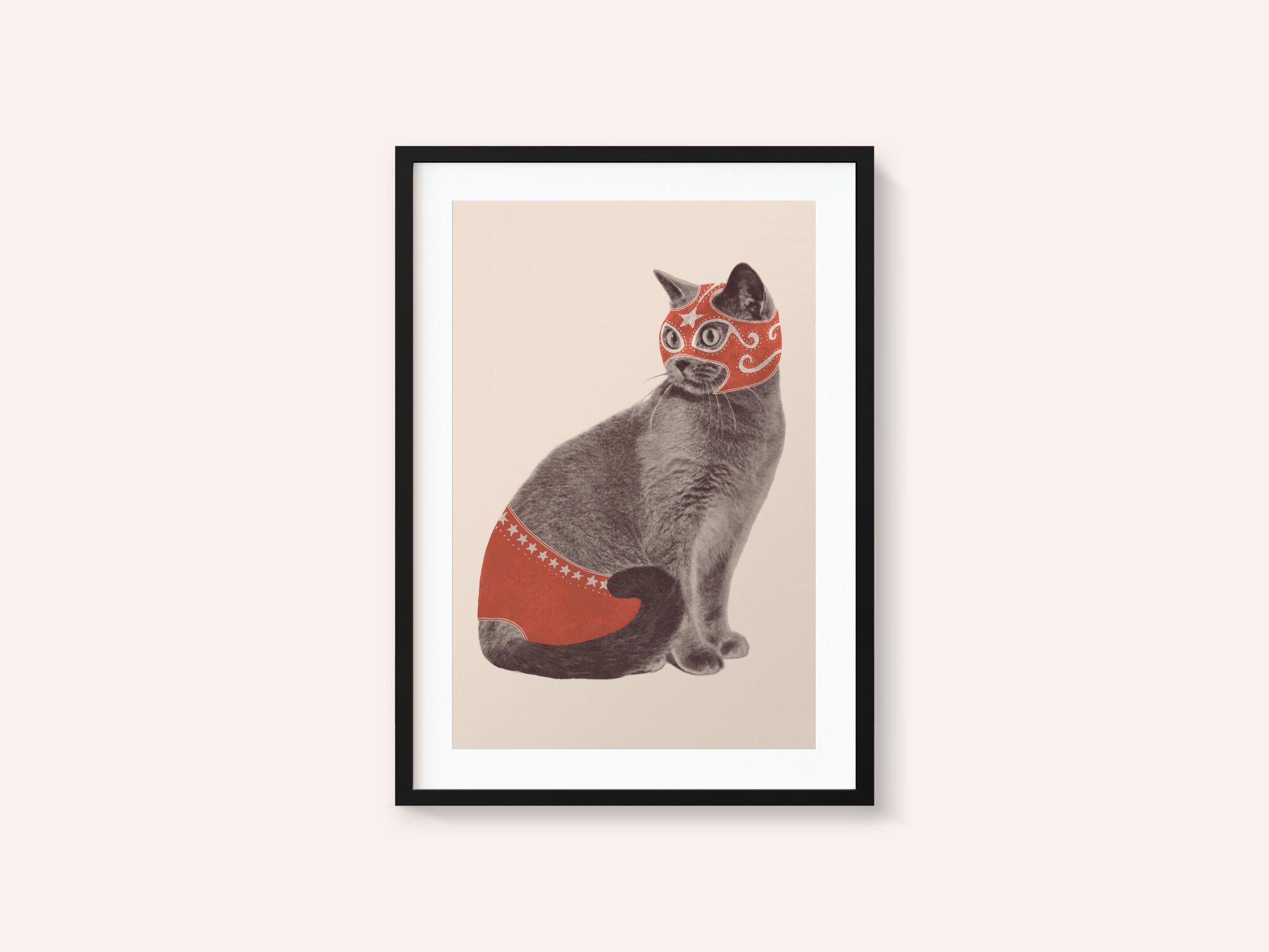 Chat Catcheur