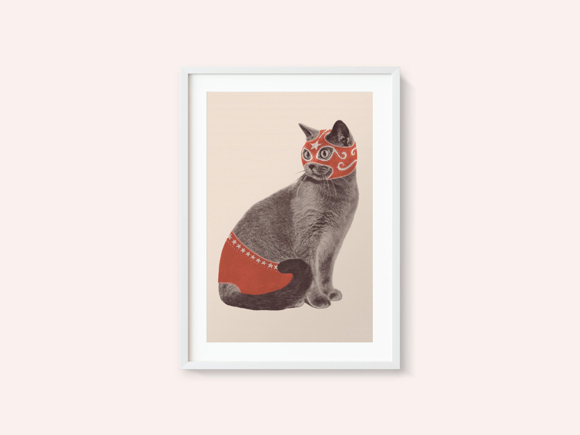 Chat Catcheur