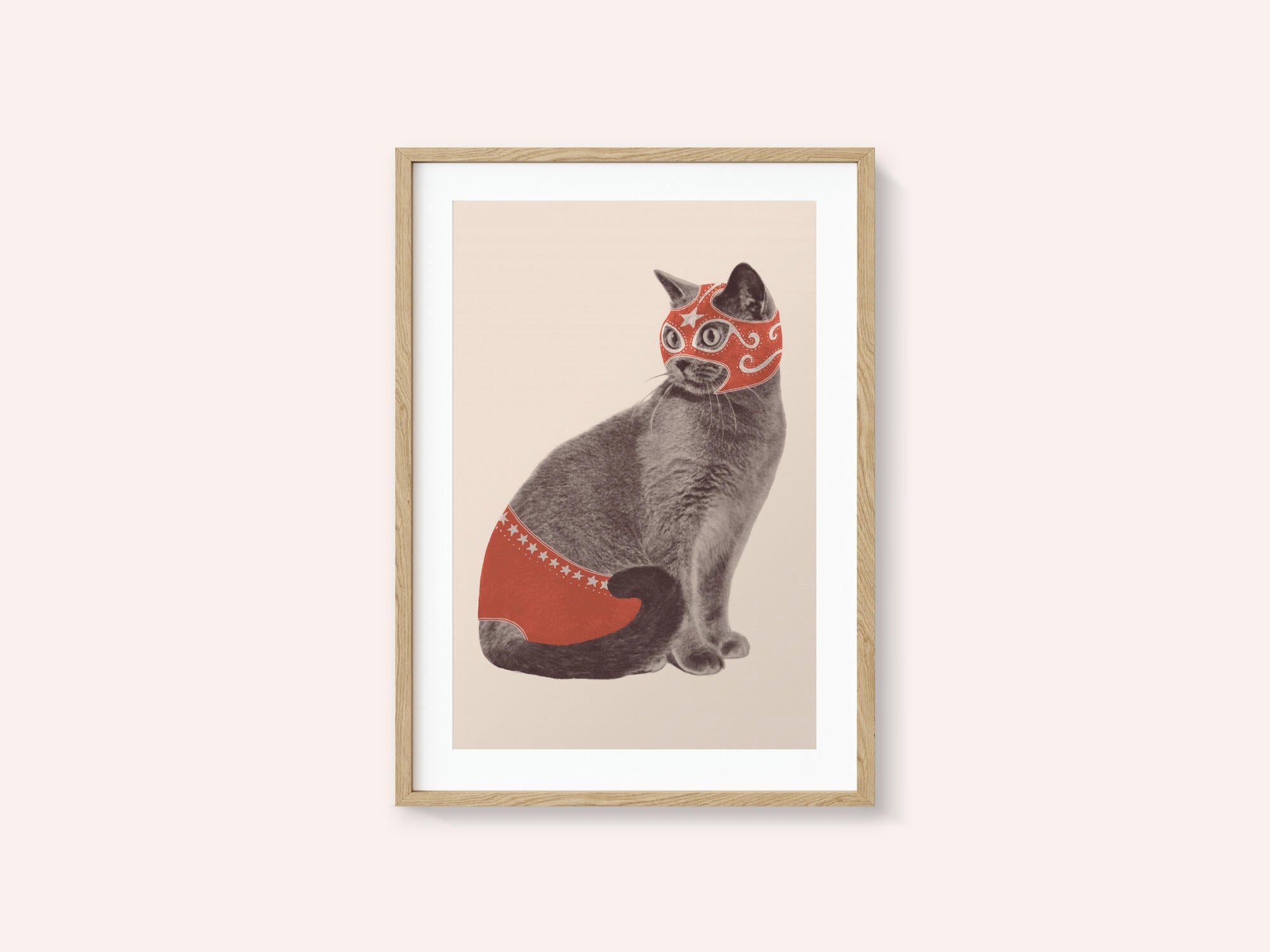 Chat Catcheur