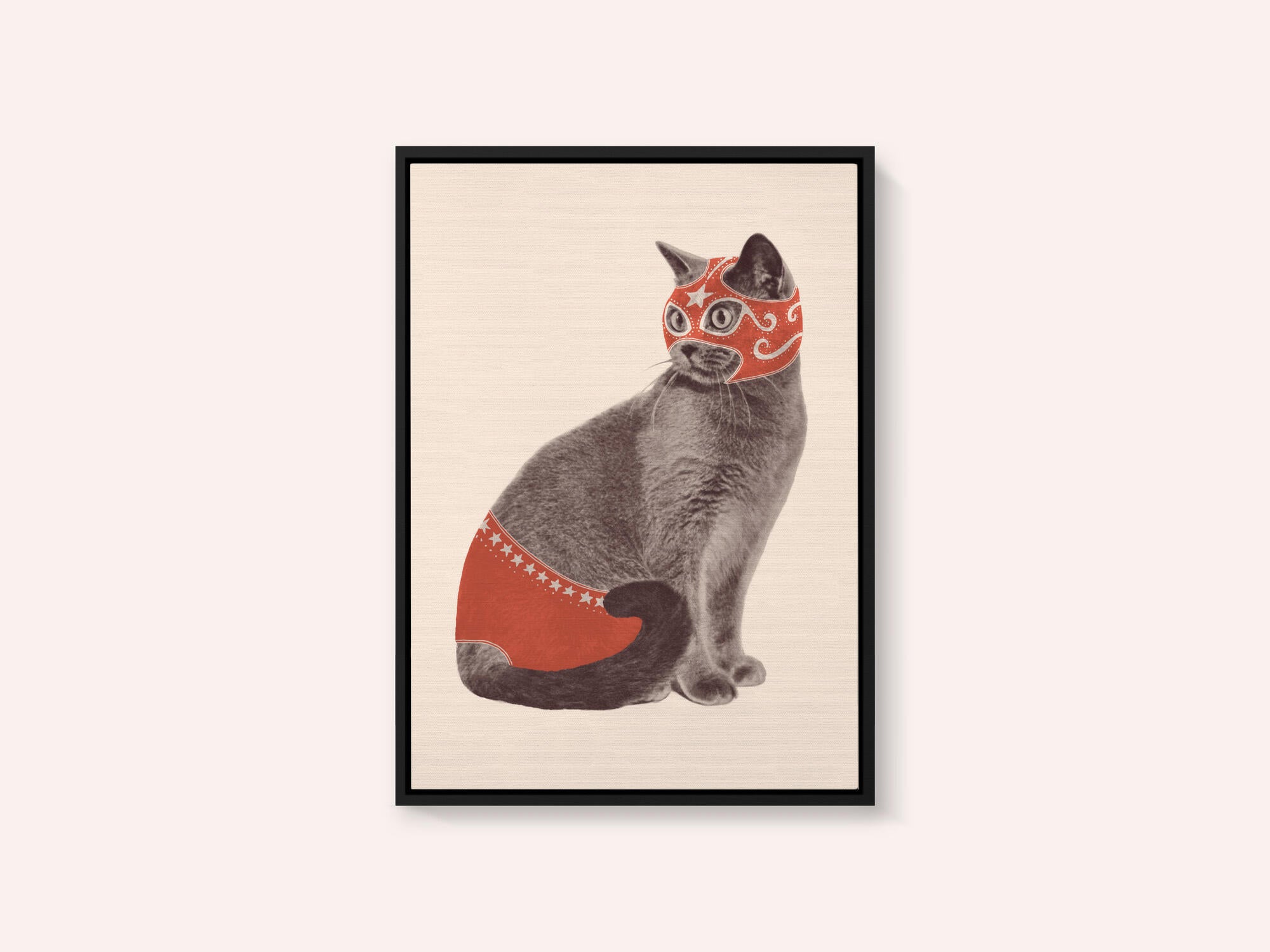 Chat Catcheur