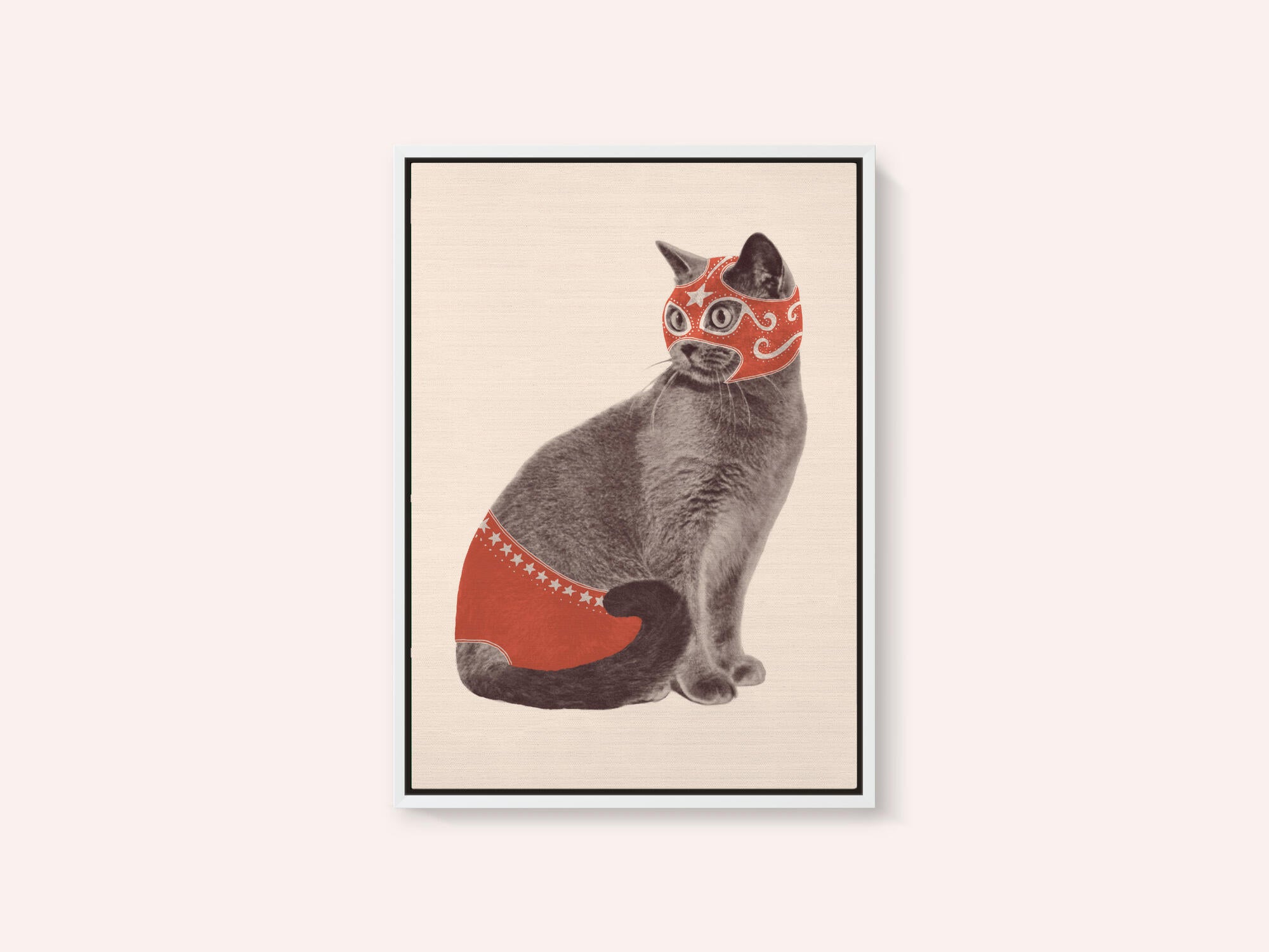 Chat Catcheur