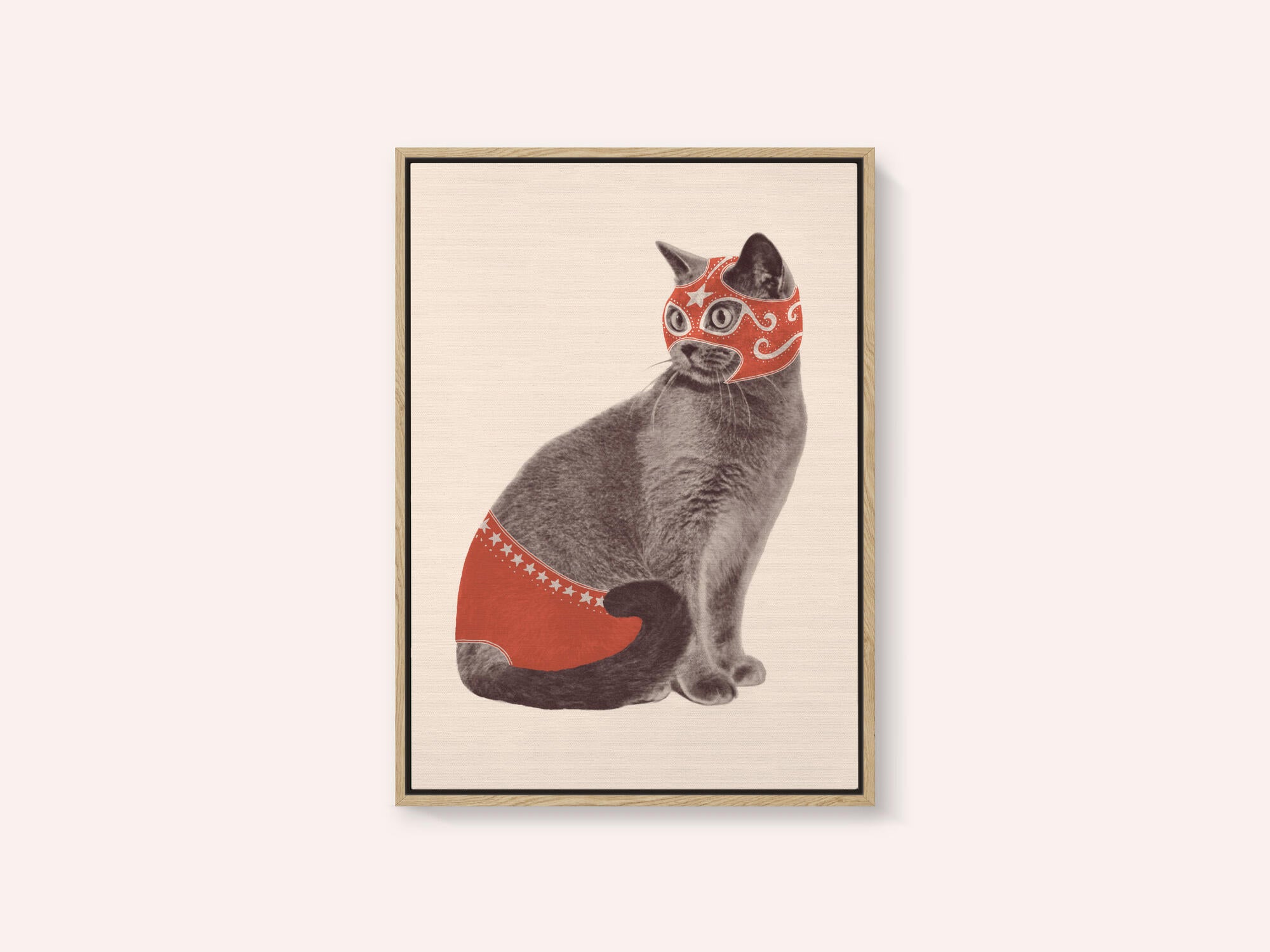 Chat Catcheur