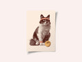 Chat Tennis