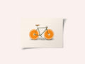 Citrus Cycle