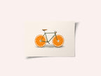 Citrus Cycle