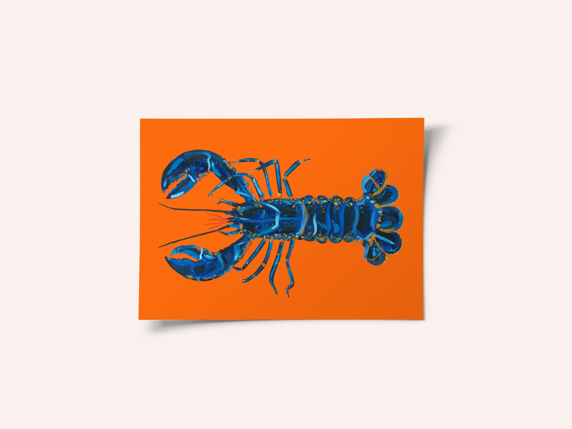 Lobster On Orange
