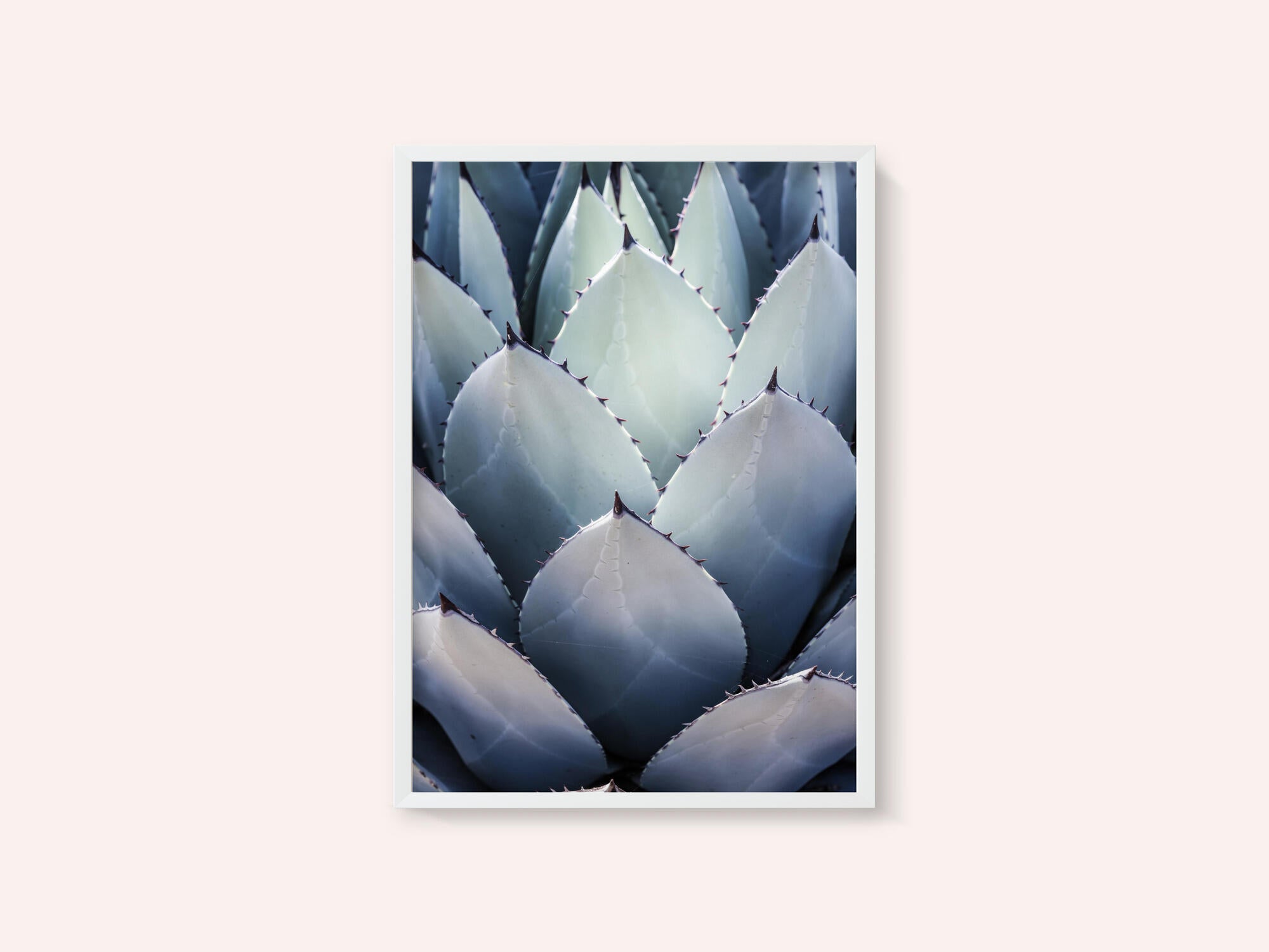 Agave Geometry