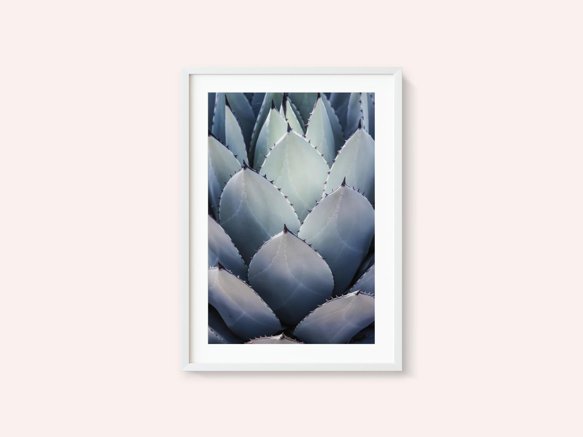 Agave Geometry