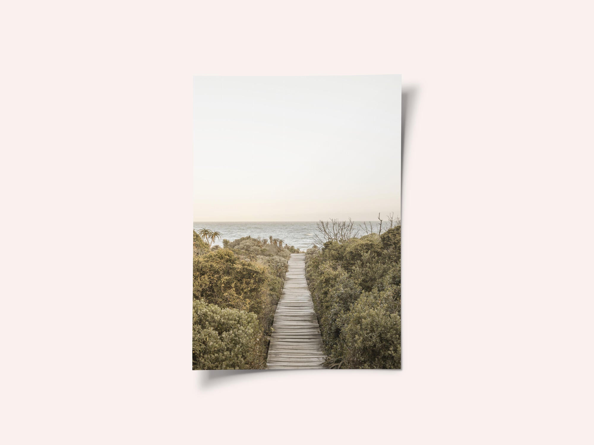 Pathway to Tranquility