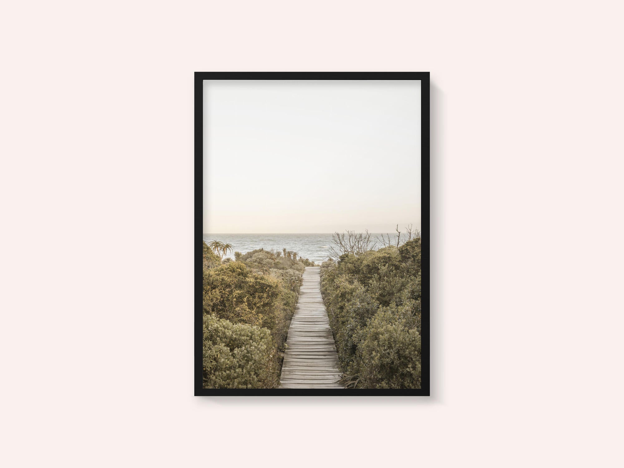 Pathway to Tranquility