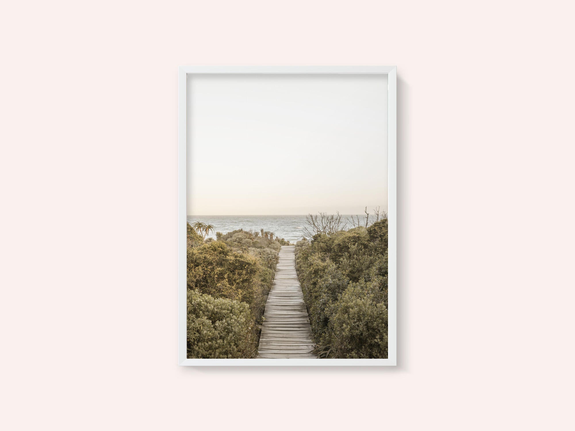 Pathway to Tranquility