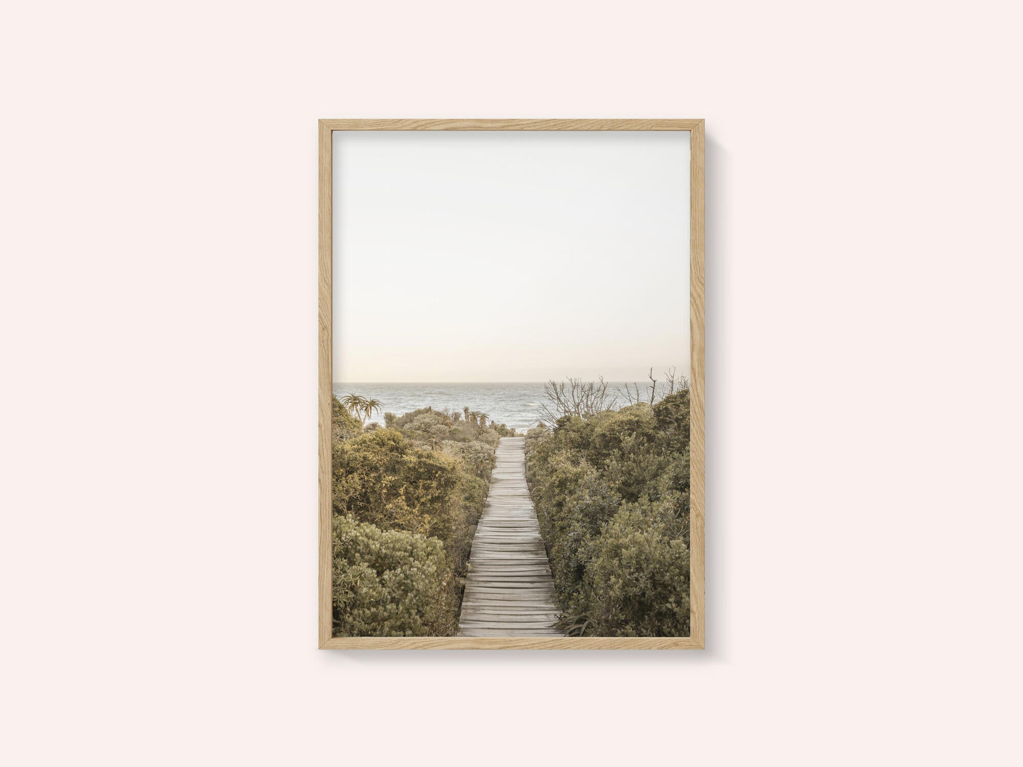 Pathway to Tranquility