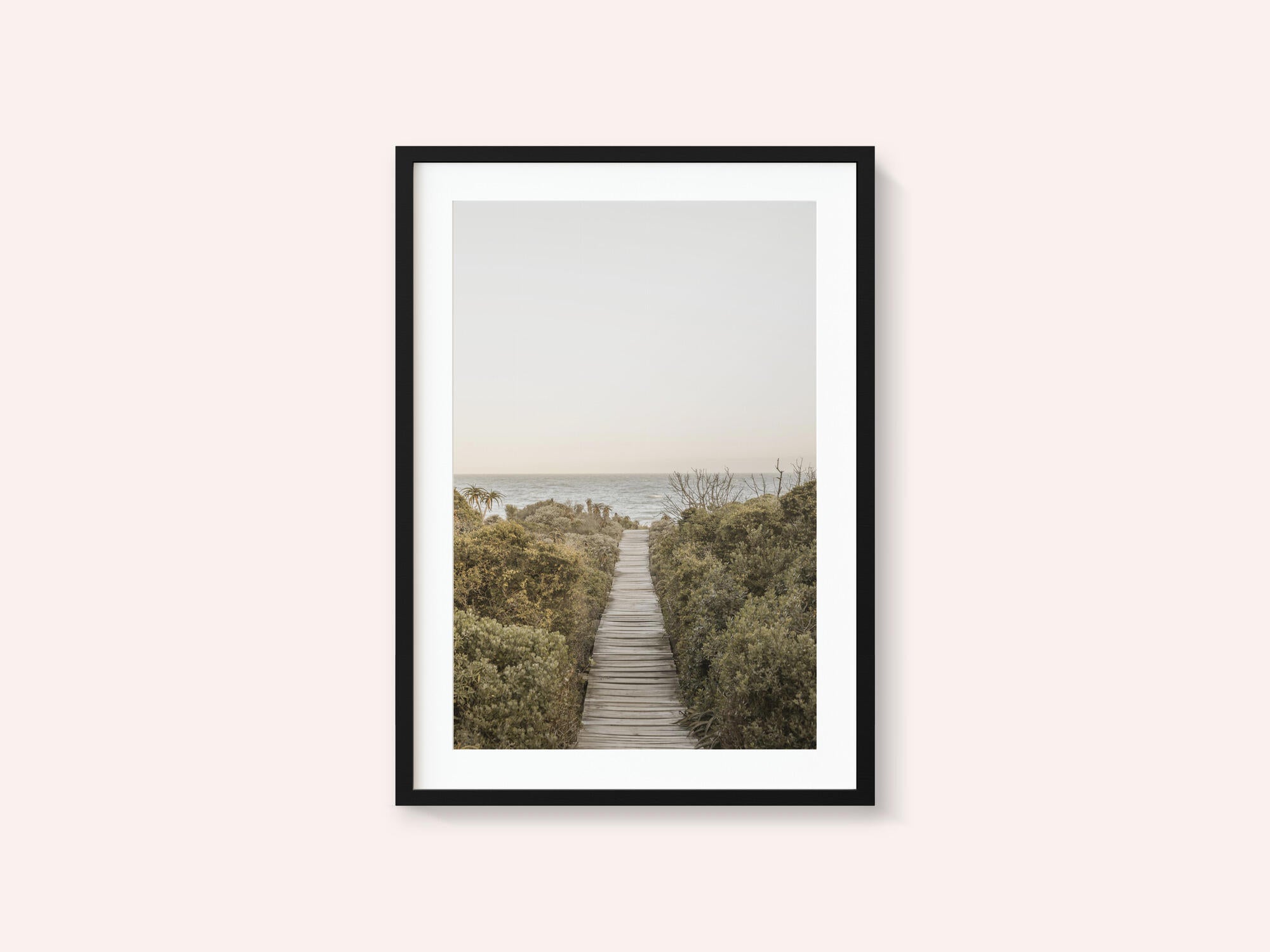 Pathway to Tranquility