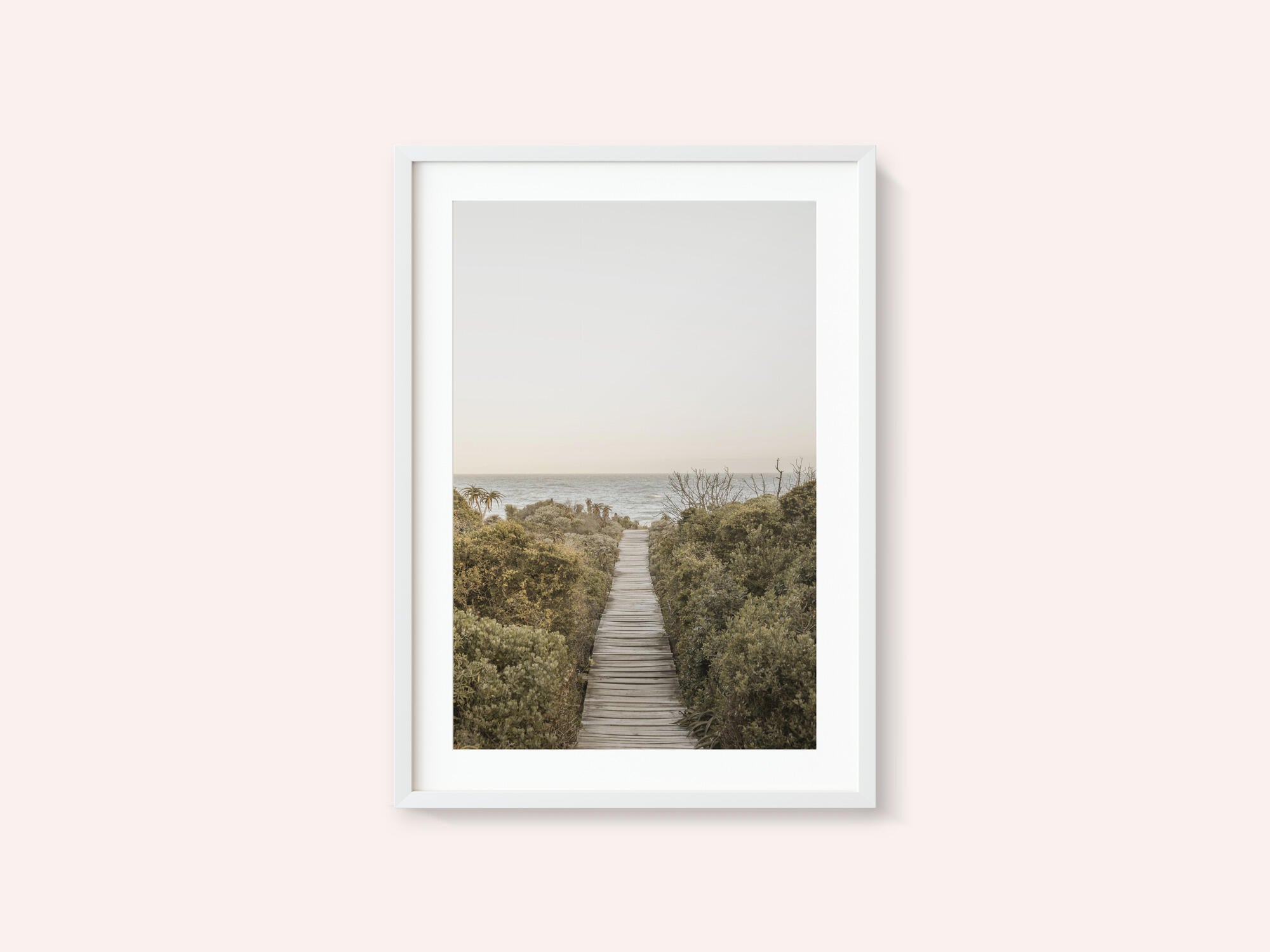 Pathway to Tranquility