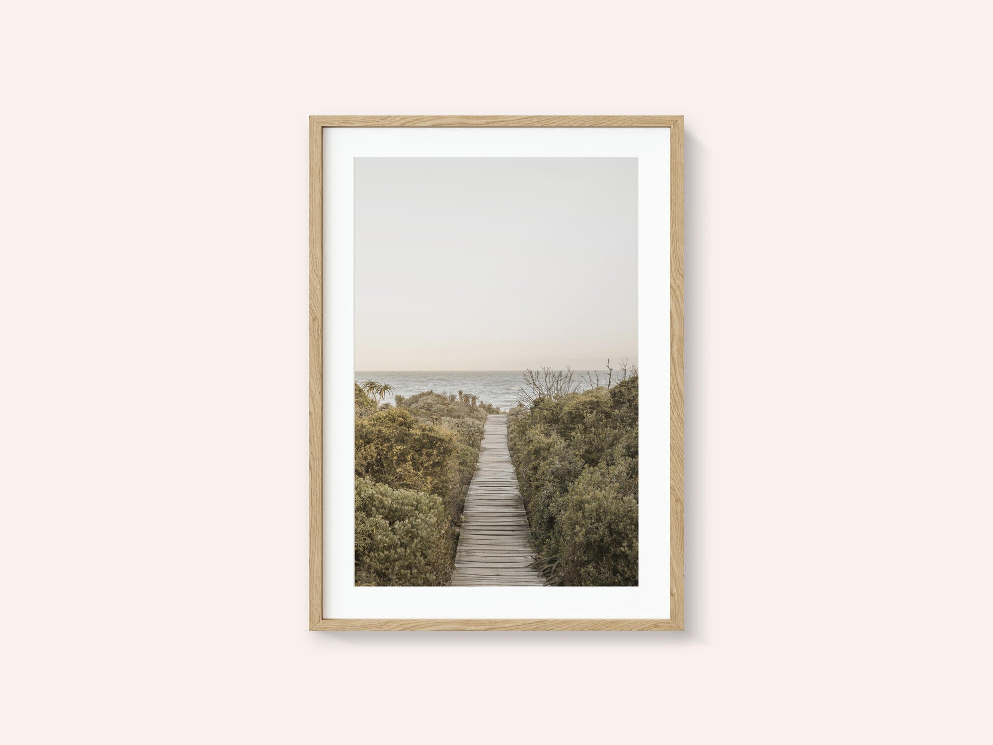Pathway to Tranquility