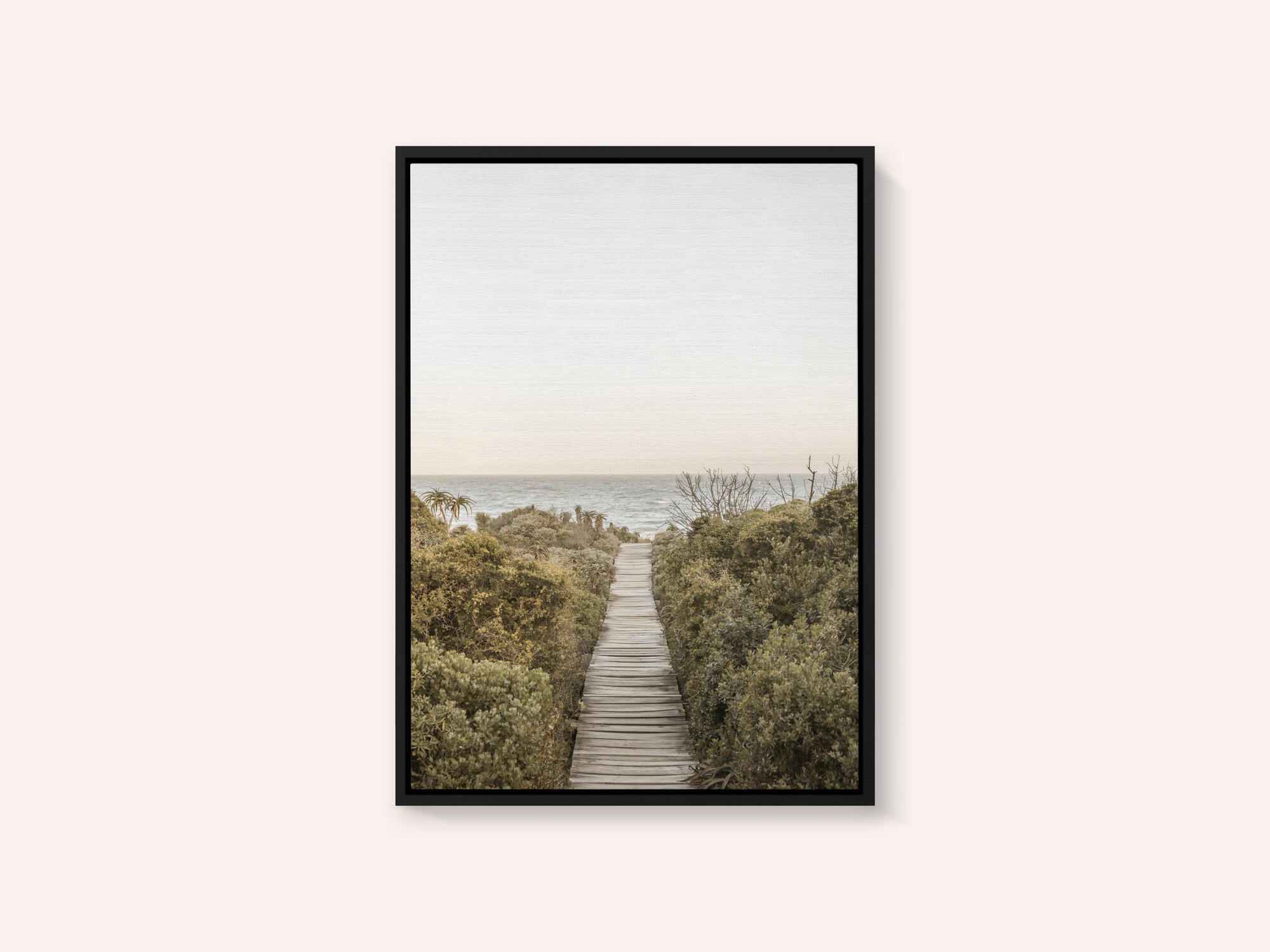 Pathway to Tranquility