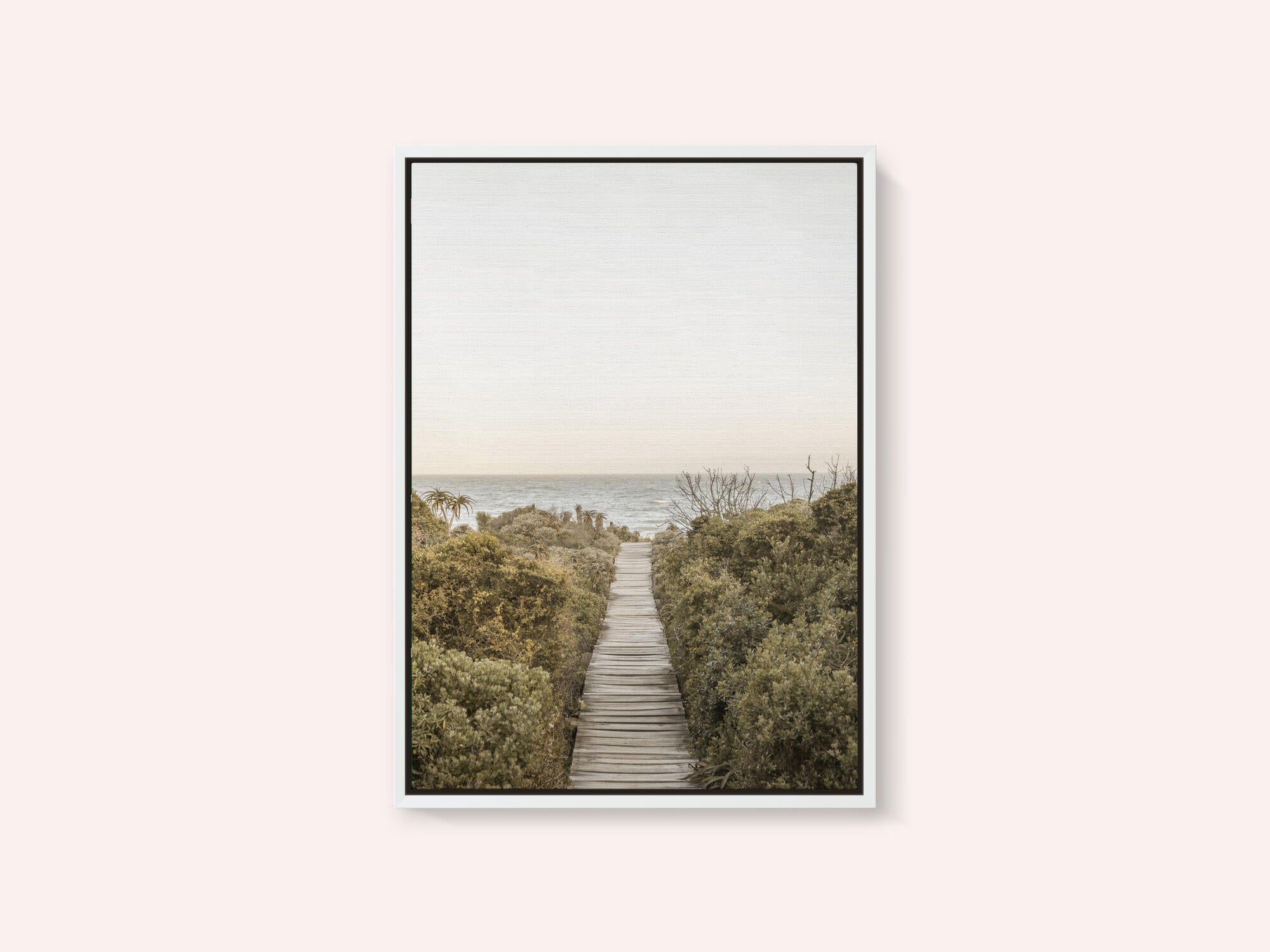 Pathway to Tranquility