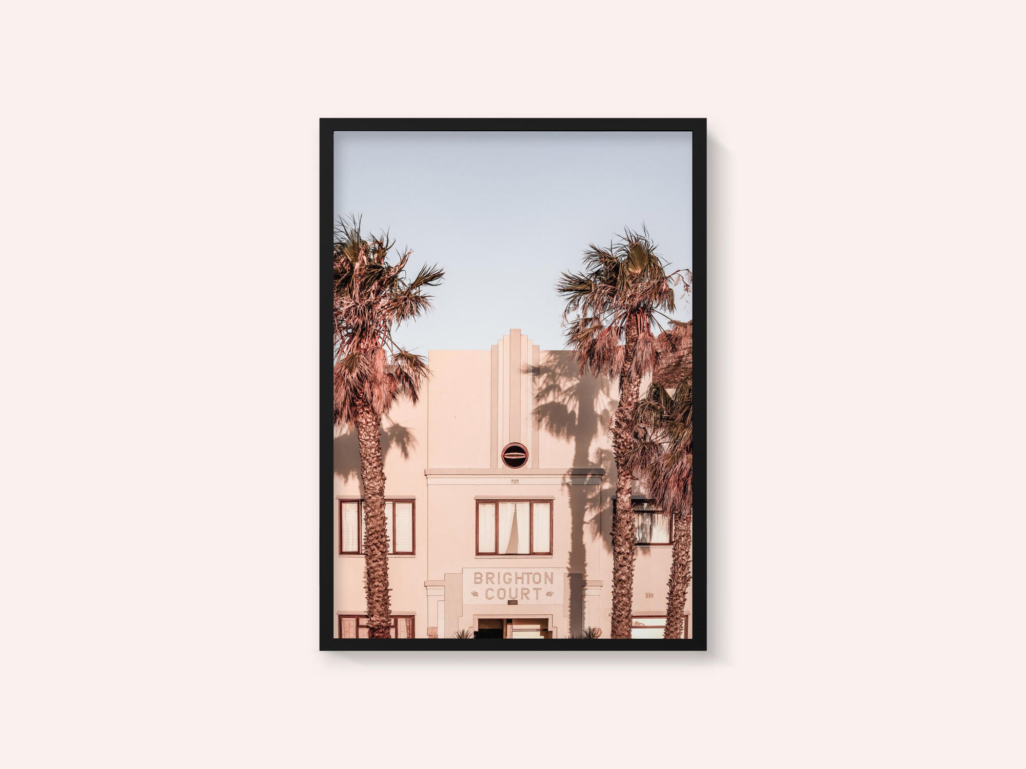 Palm Shadows