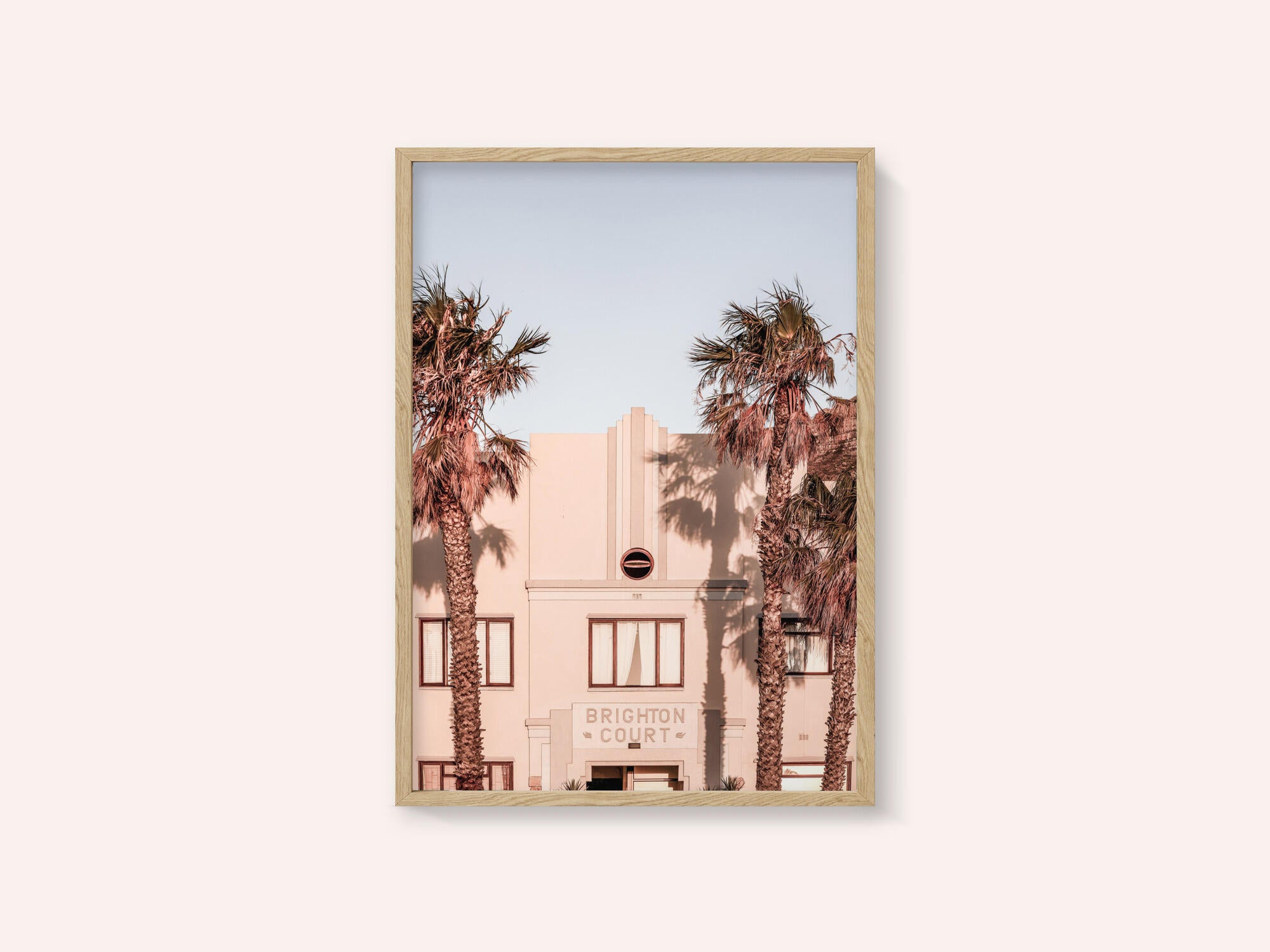 Palm Shadows
