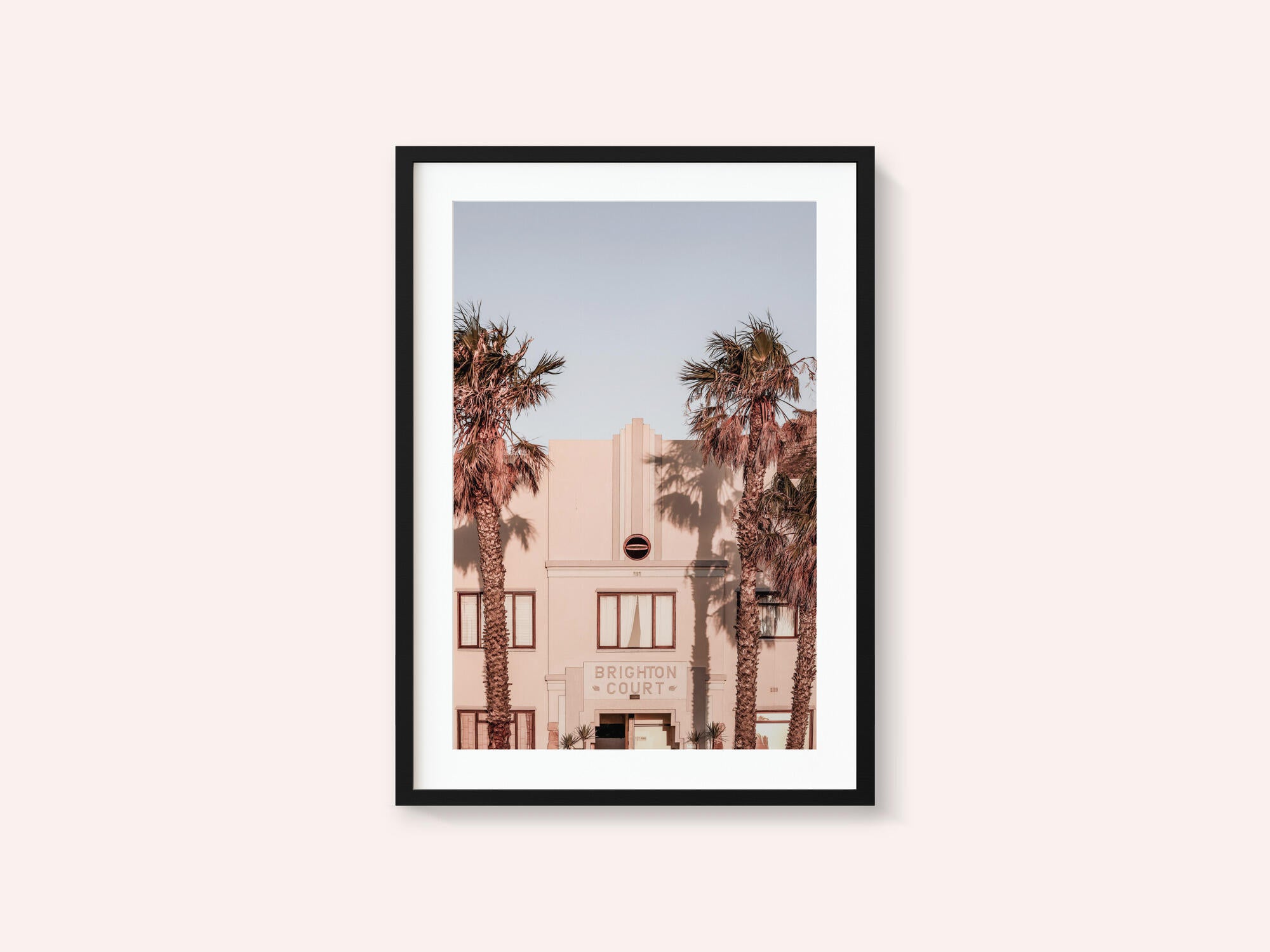 Palm Shadows