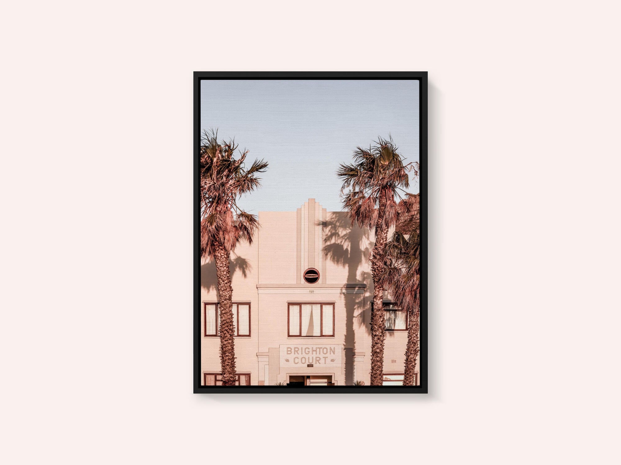 Palm Shadows