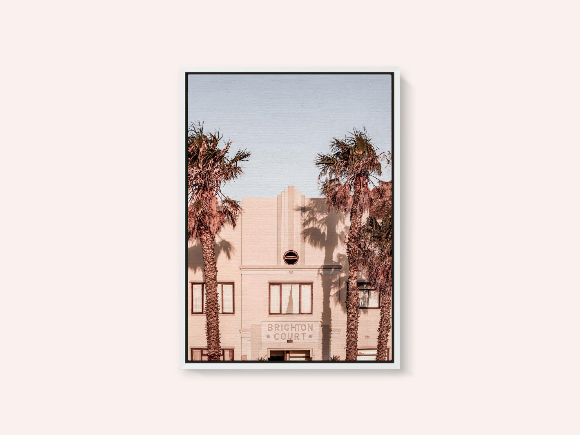 Palm Shadows