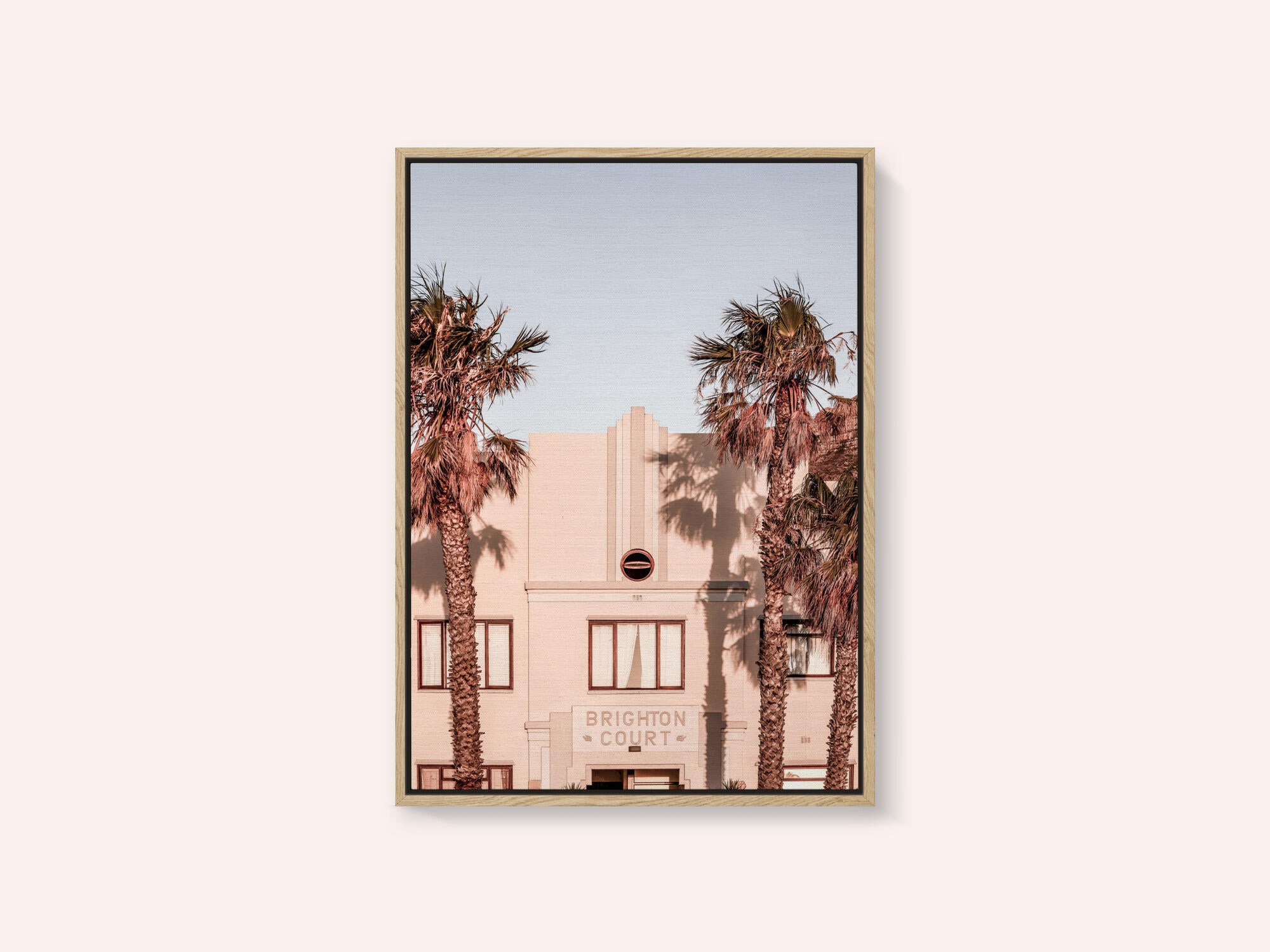 Palm Shadows