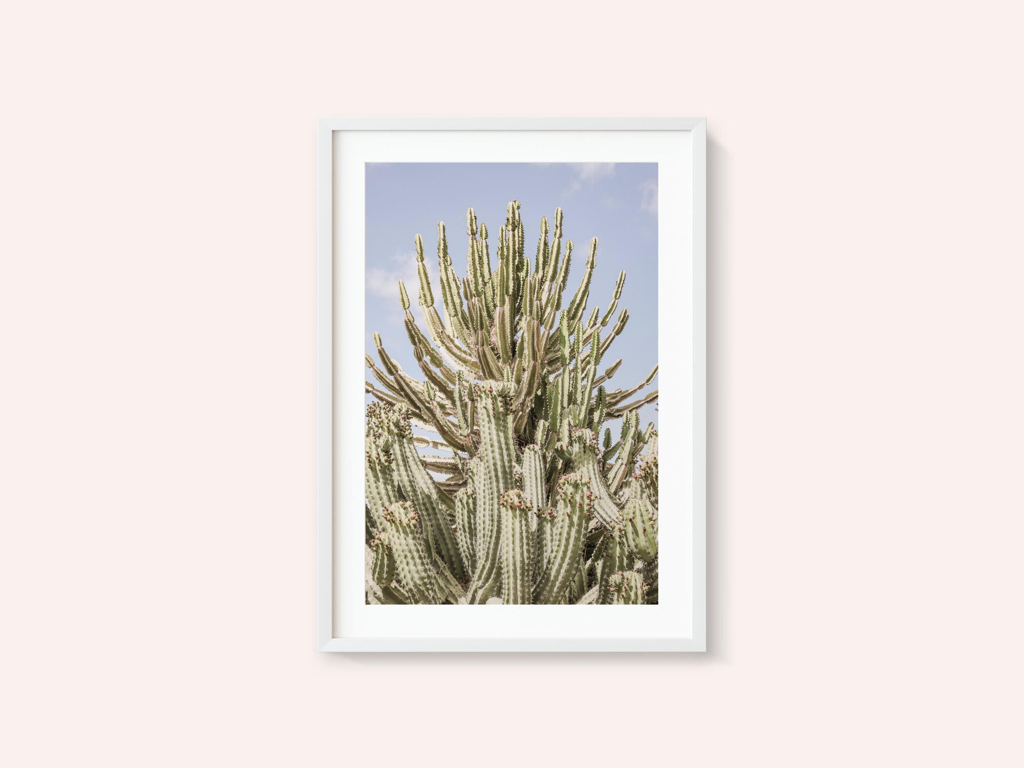 Cactus Symphony