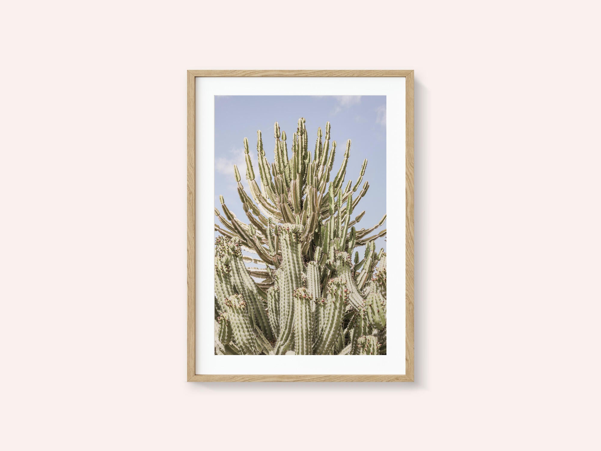 Cactus Symphony