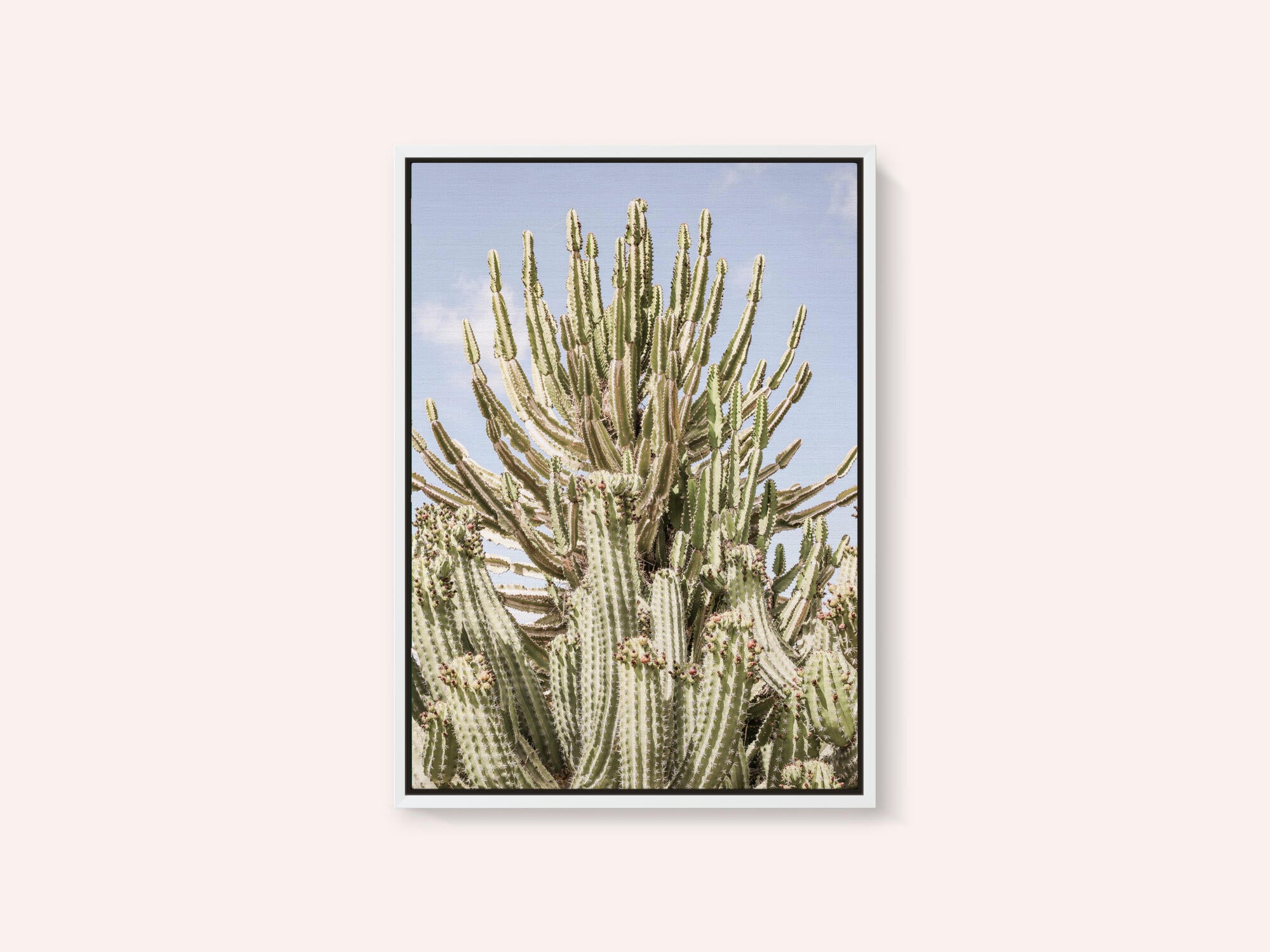 Cactus Symphony