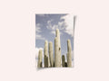 Desert Sentinels