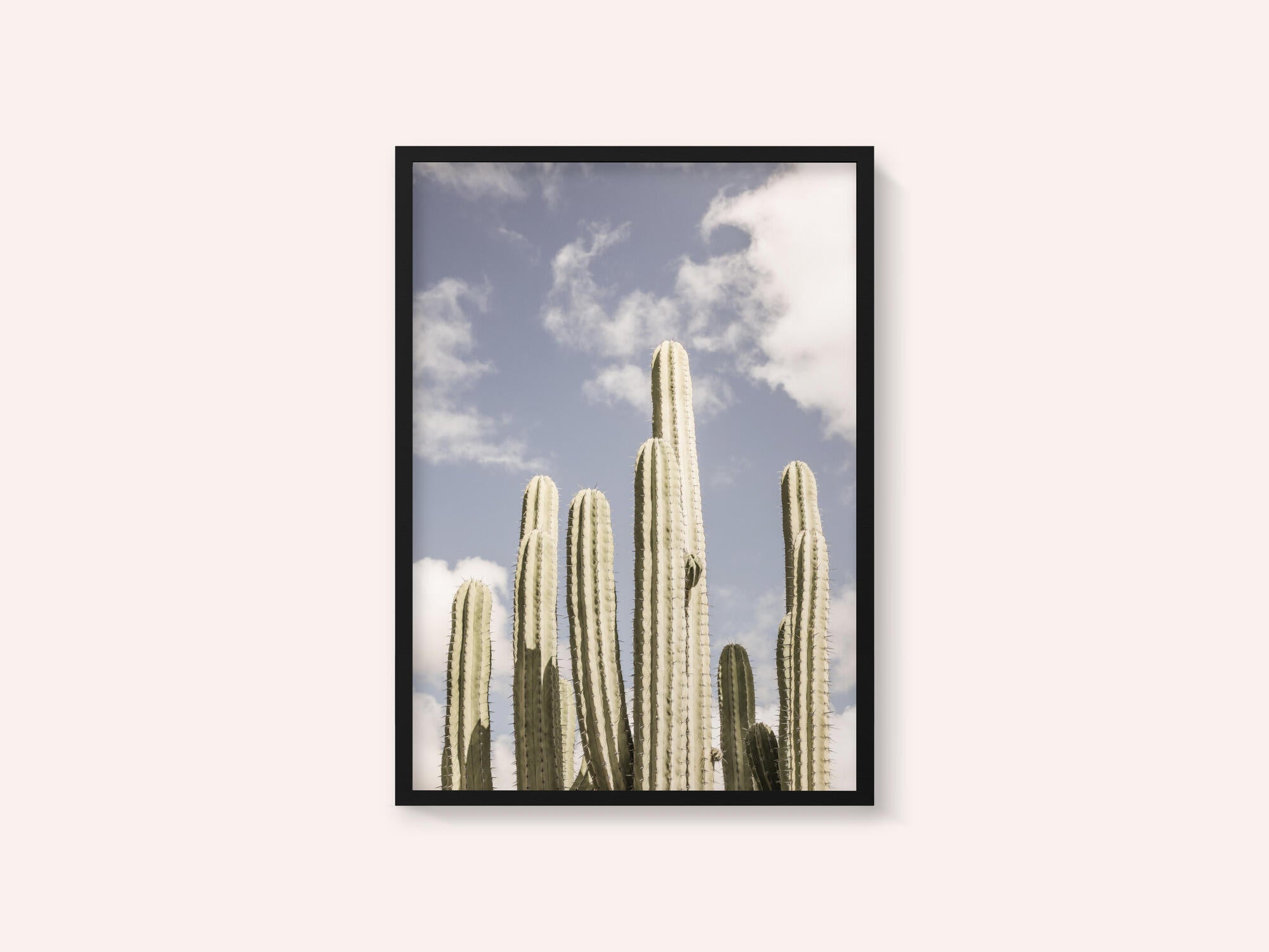 Desert Sentinels
