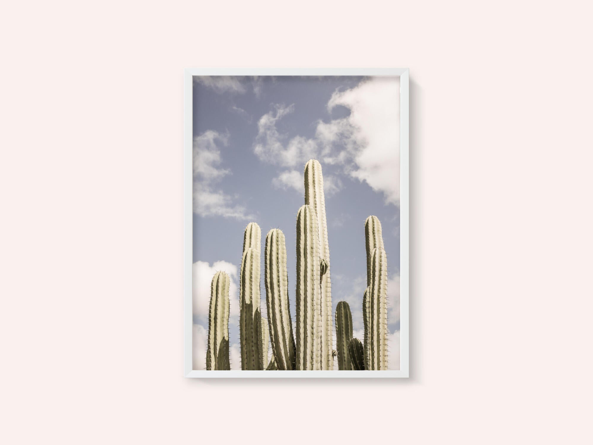 Desert Sentinels